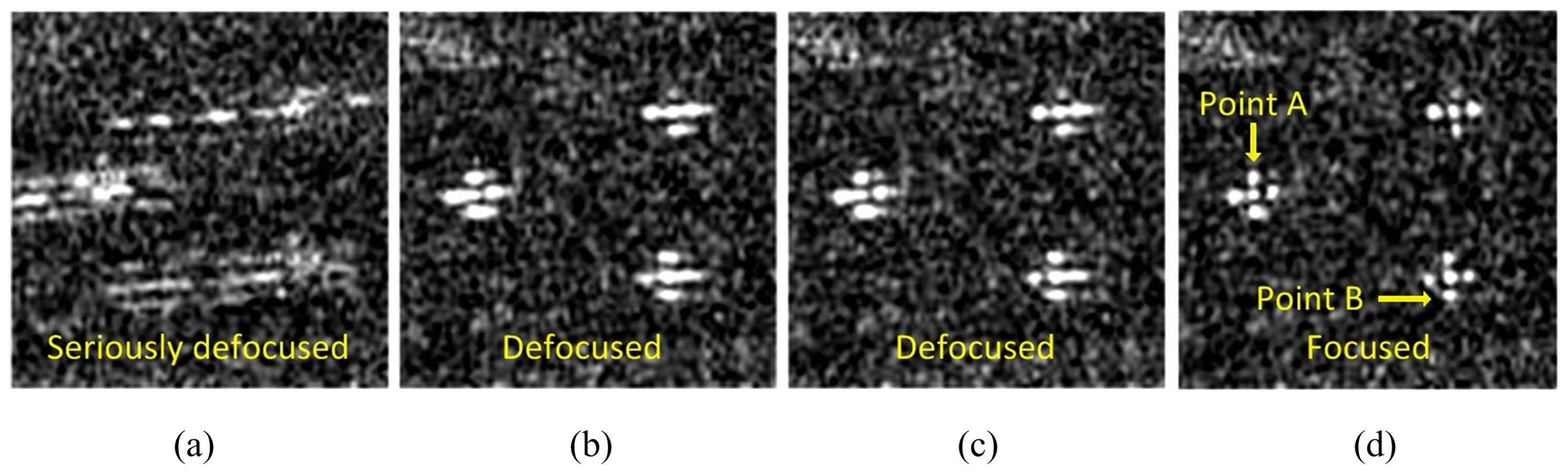 Remotesensing 11 00340 g016 550