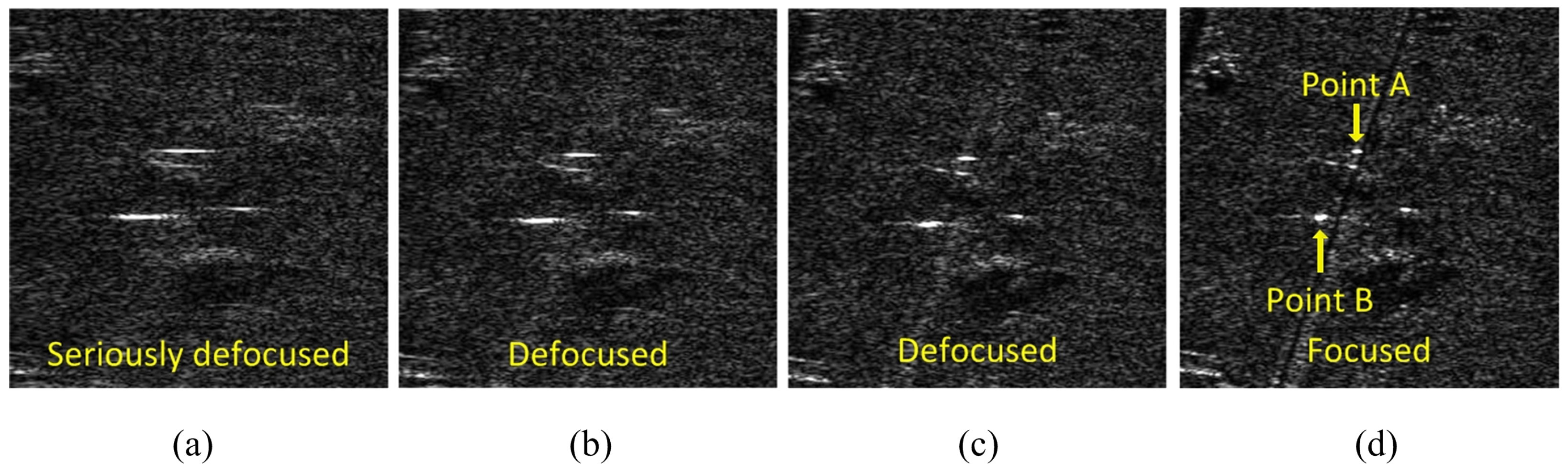Remotesensing 11 00340 g020 550