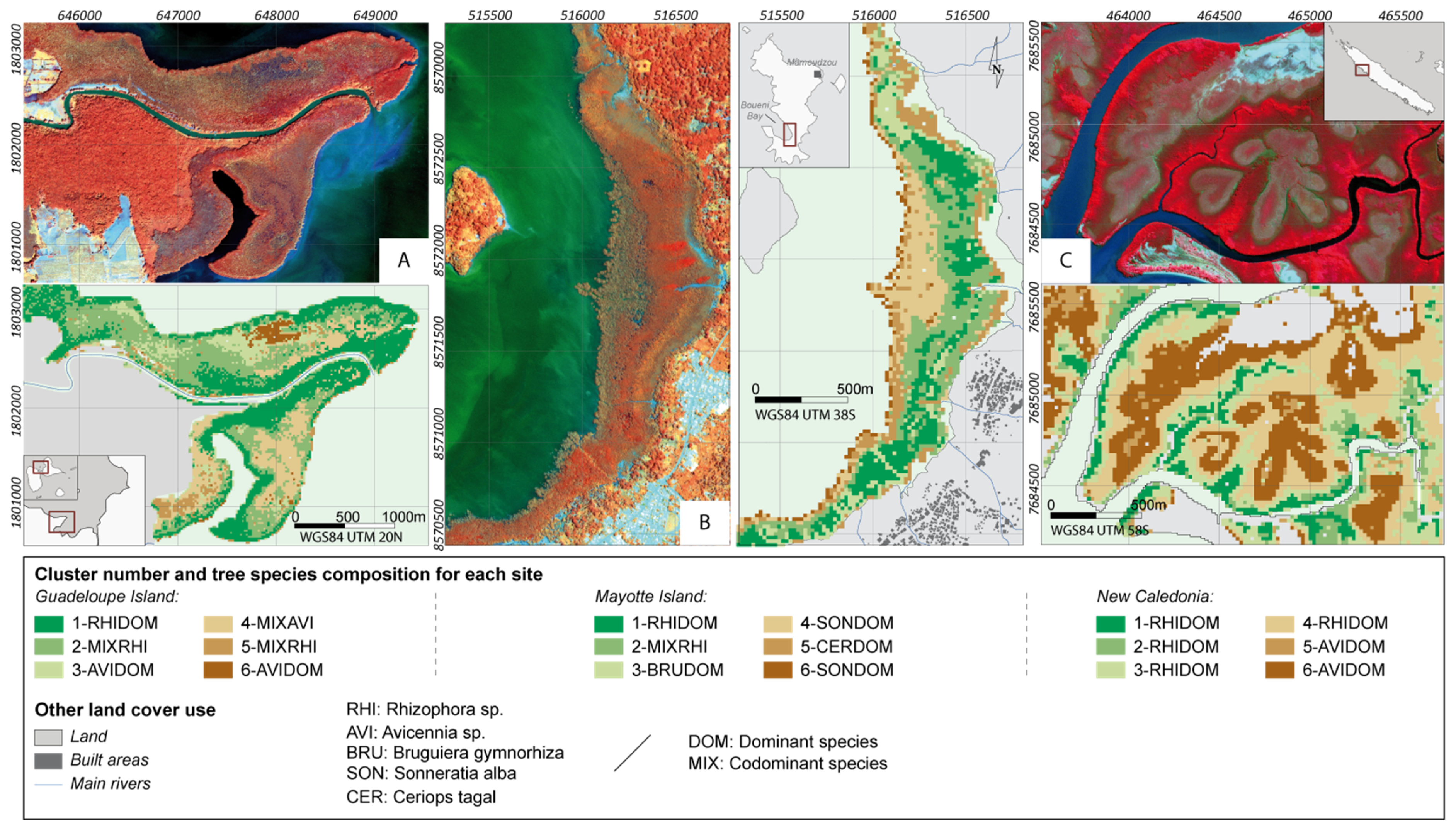 Remotesensing 11 00367 g006
