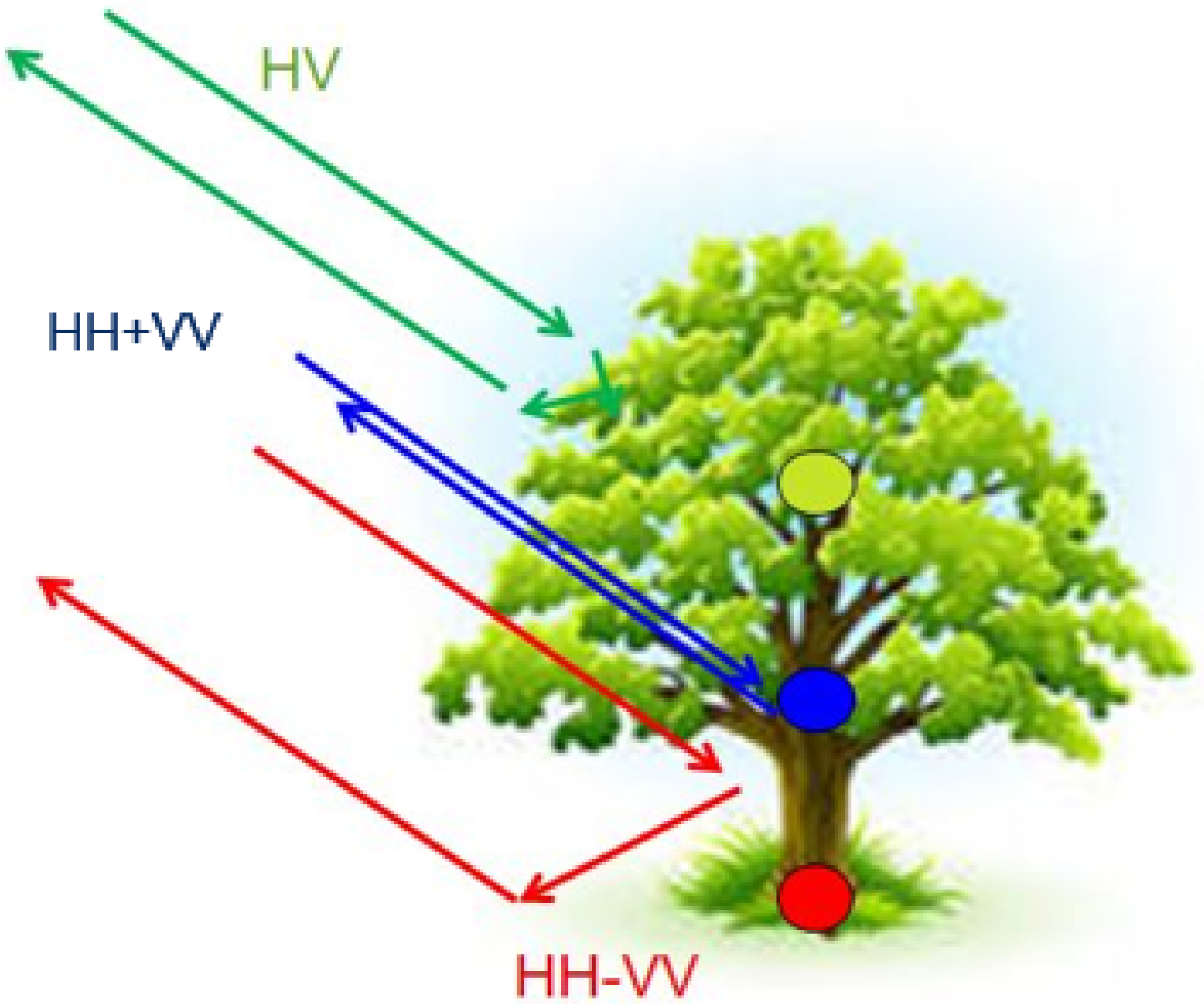 Remotesensing 11 00381 g001