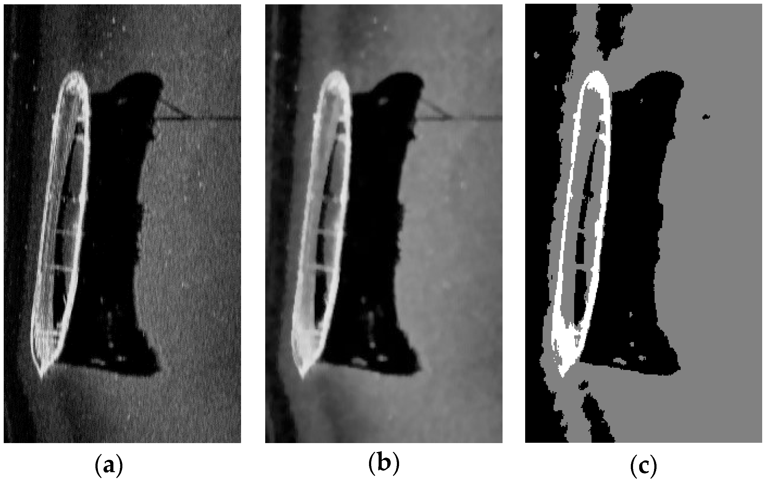 Remotesensing 11 00396 g019