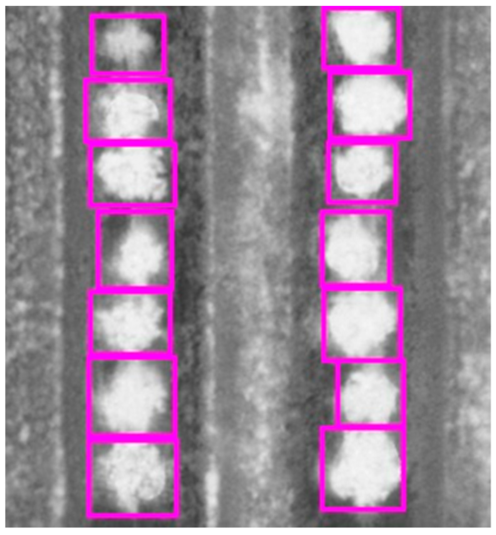 Remotesensing 11 00410 g007
