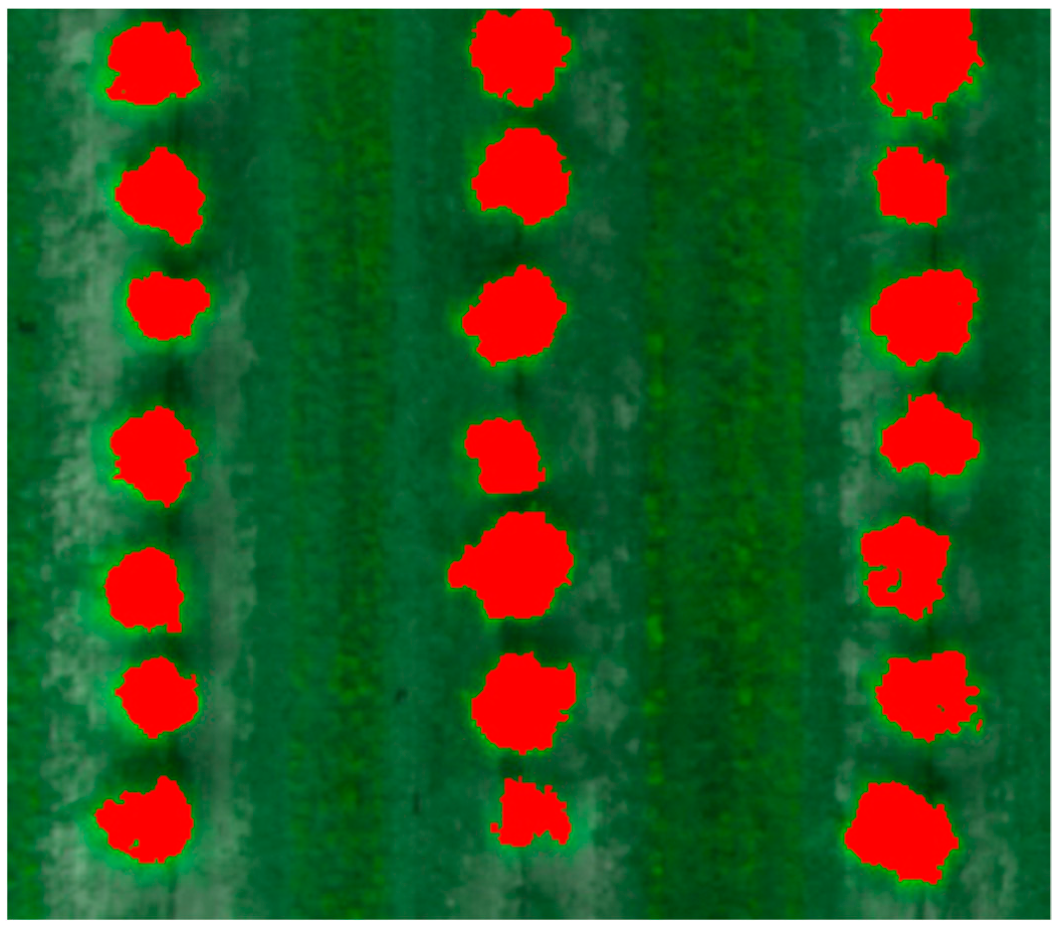 Remotesensing 11 00410 g009