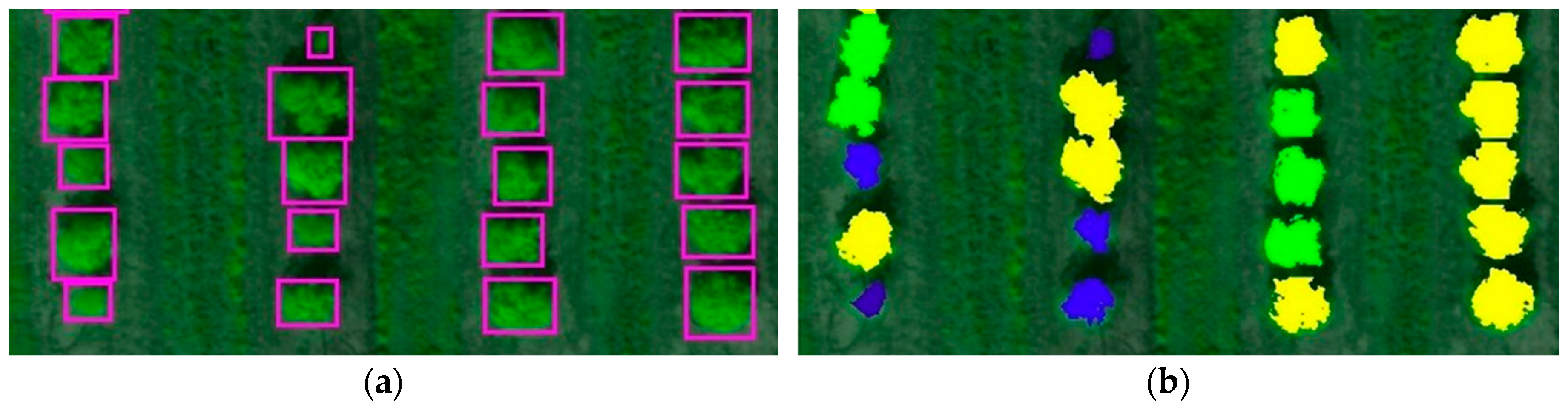Remotesensing 11 00410 g014