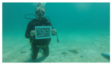 Remotesensing 11 00459 i003 Remotesensing 11 00459 i003