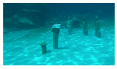 Remotesensing 11 00459 i005 Remotesensing 11 00459 i005