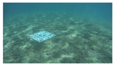 Remotesensing 11 00459 i008 Remotesensing 11 00459 i008