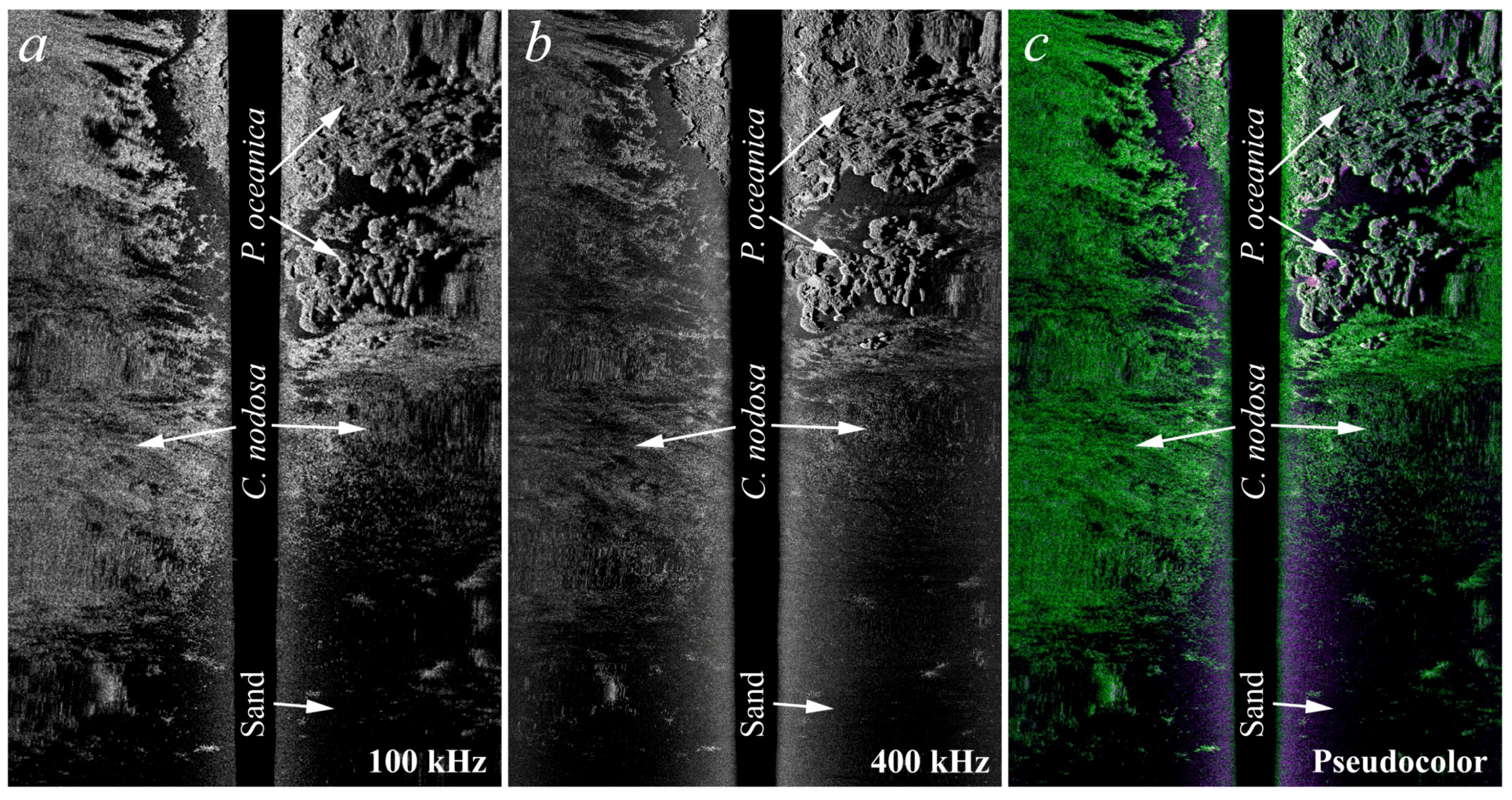 Remotesensing 11 00461 g010