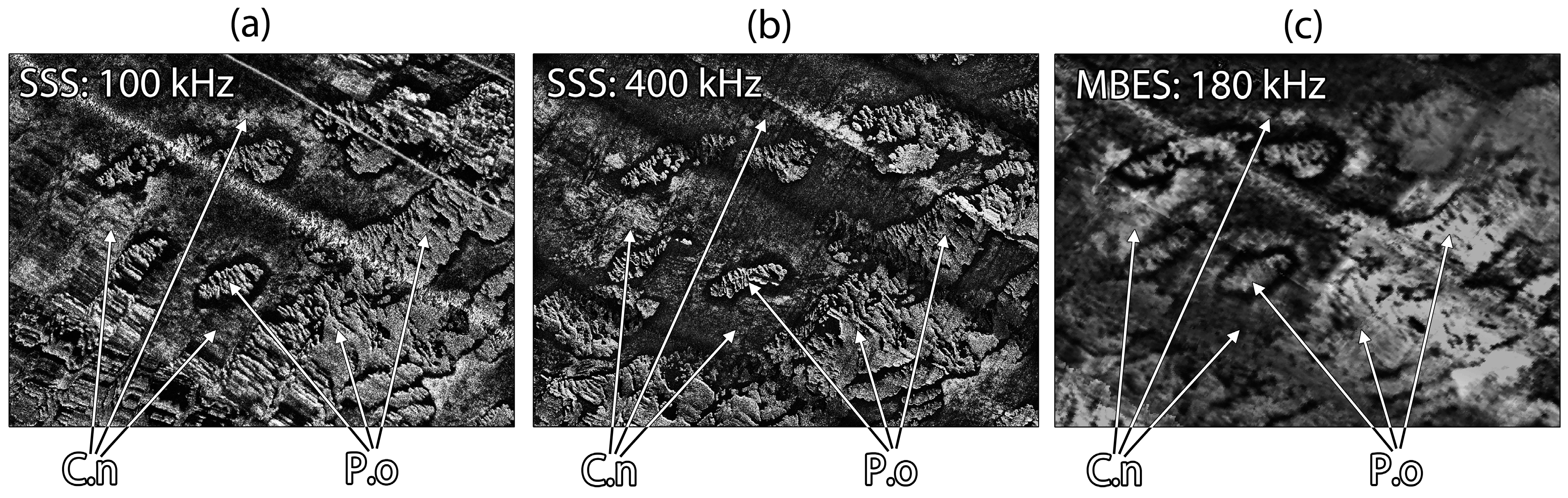 Remotesensing 11 00461 g011