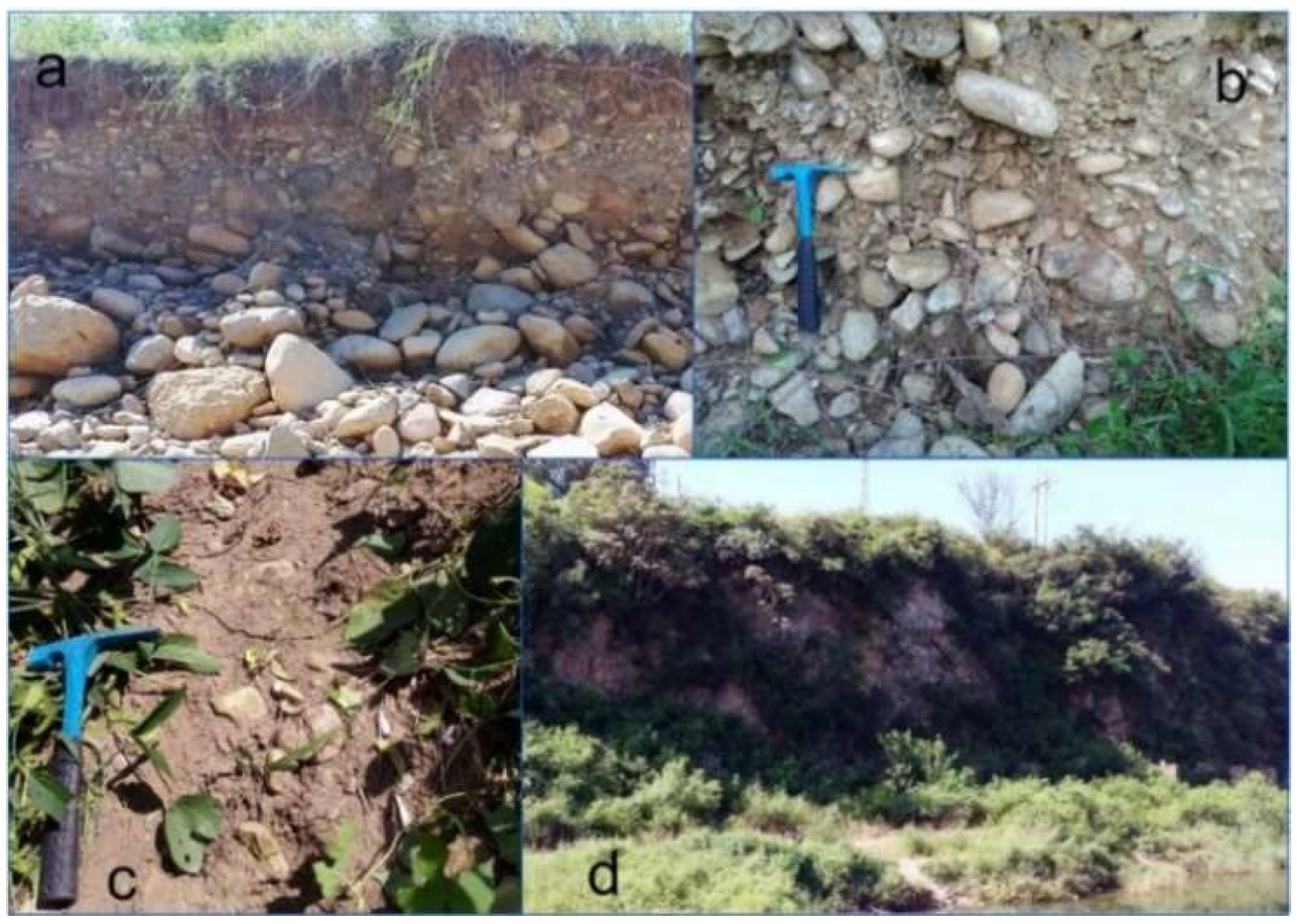 Remotesensing 11 00464 g006