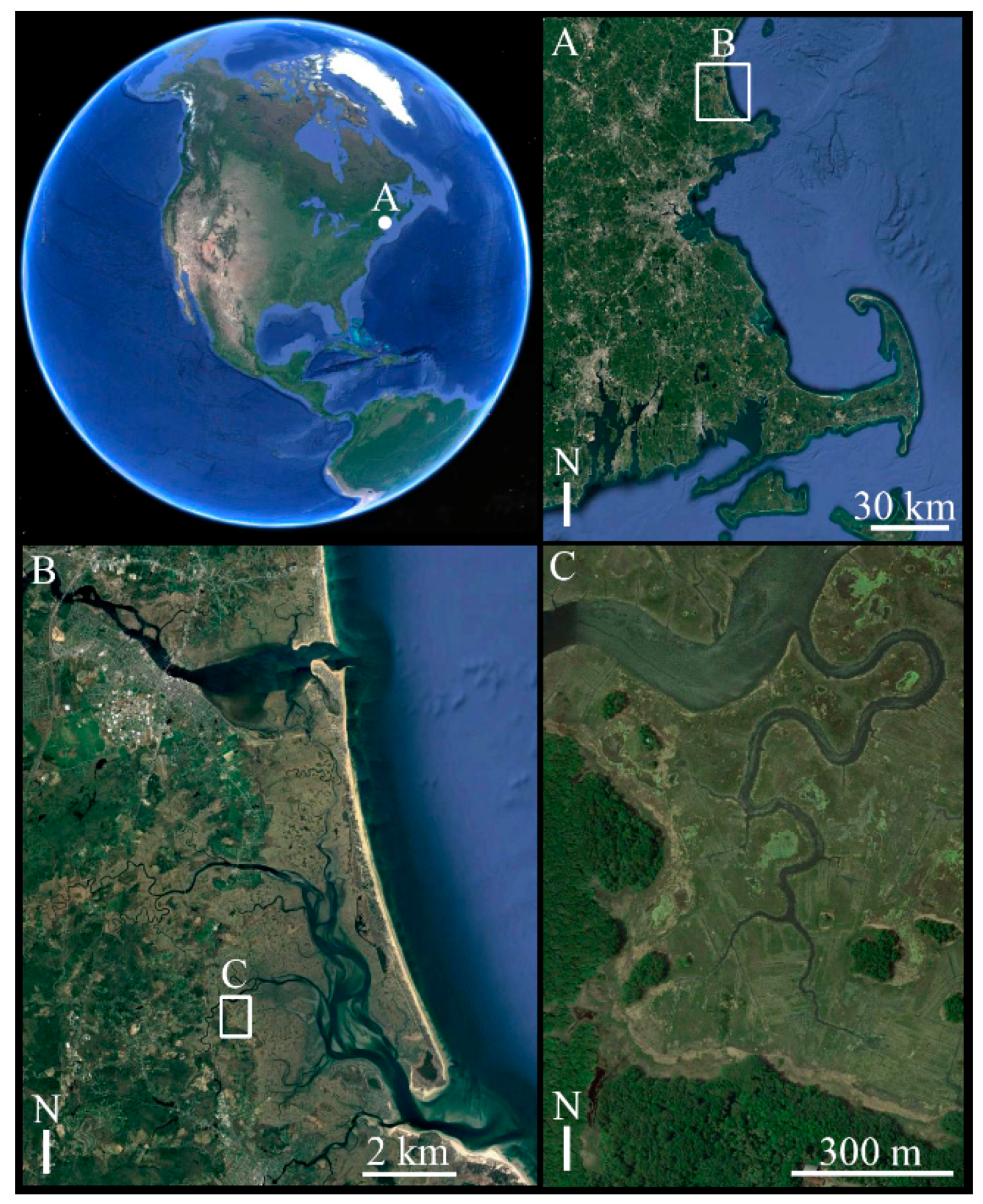 Remotesensing 11 00509 g001