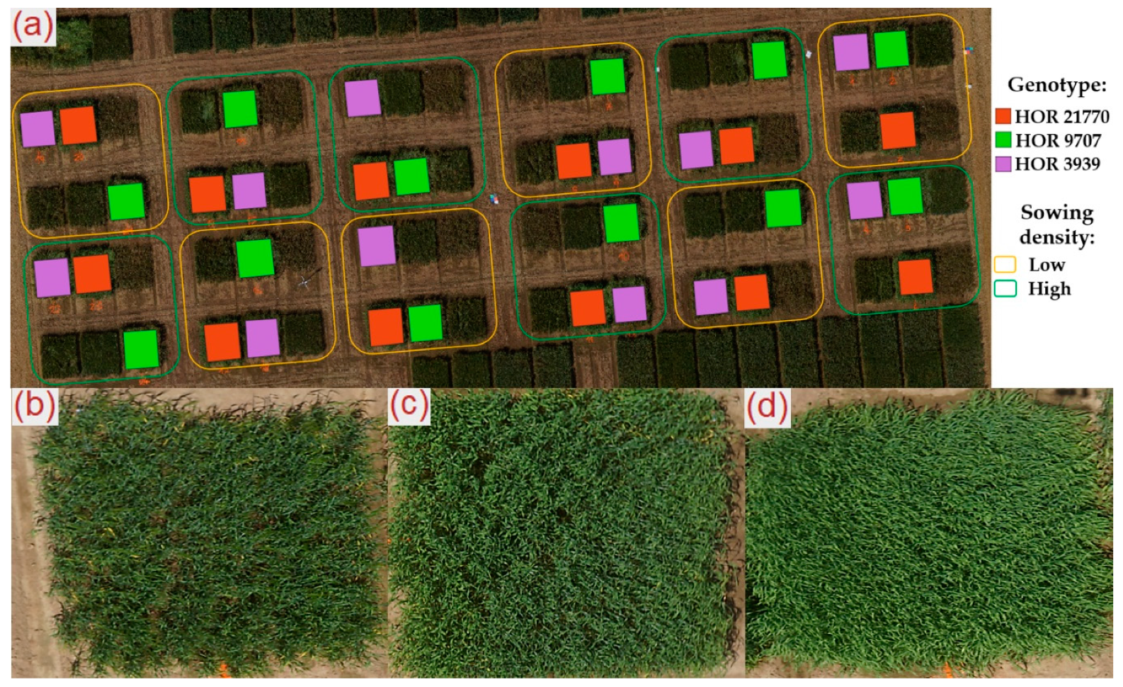 Remotesensing 11 00515 g001 Remotesensing 11 00515 g001