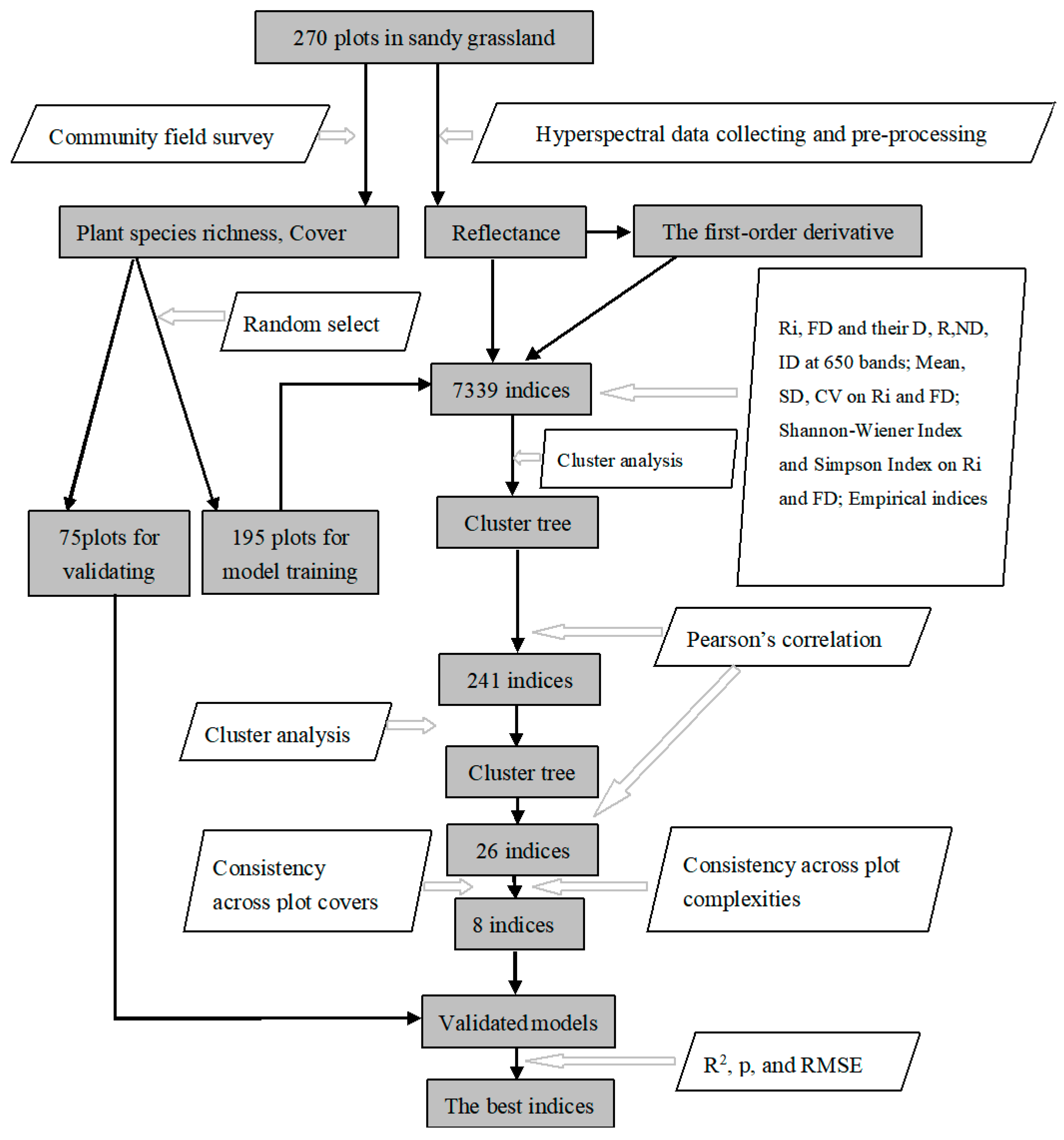 Plant Identification Flow Chart