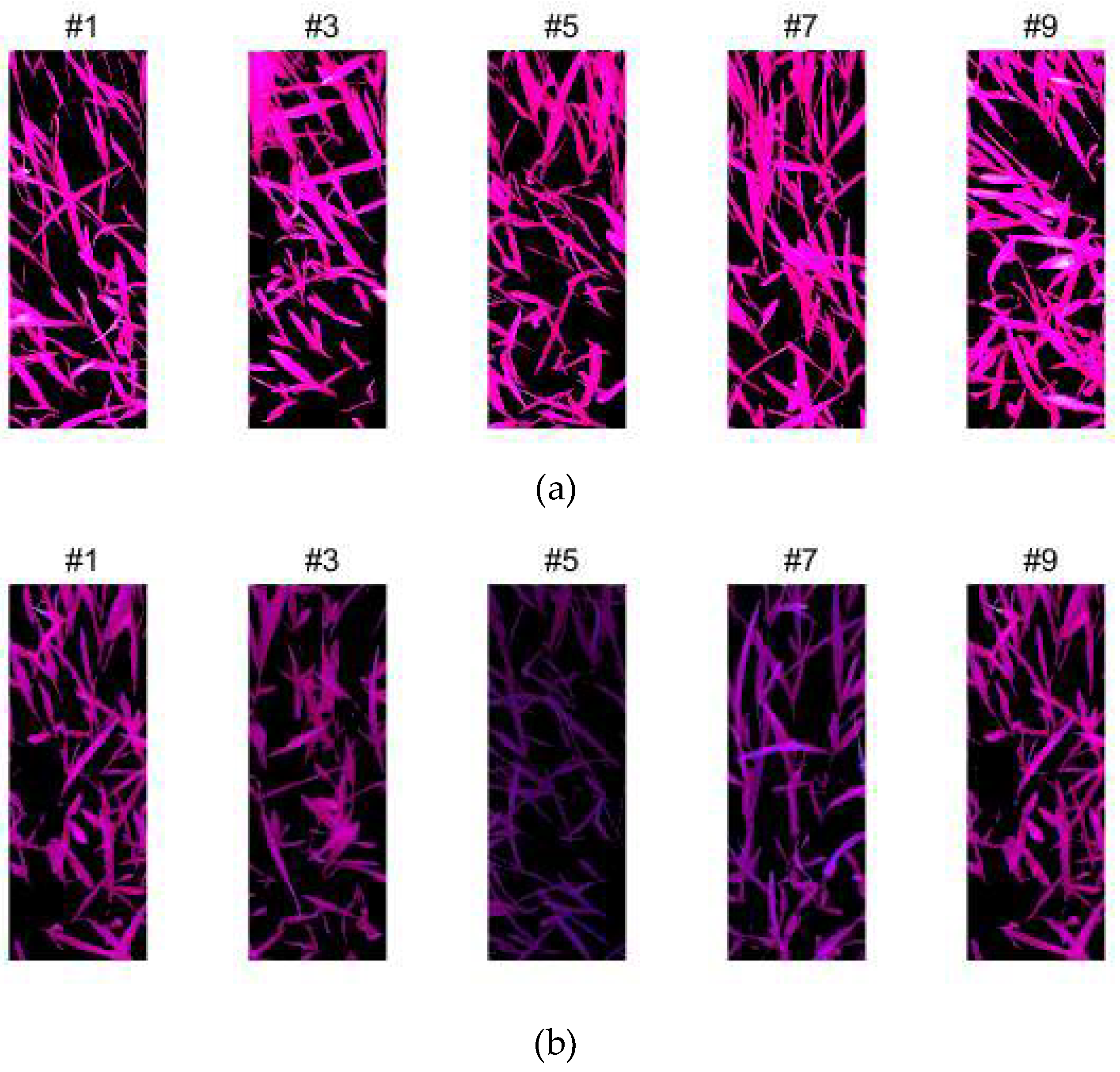 Remotesensing 11 00602 g006 Remotesensing 11 00602 g006