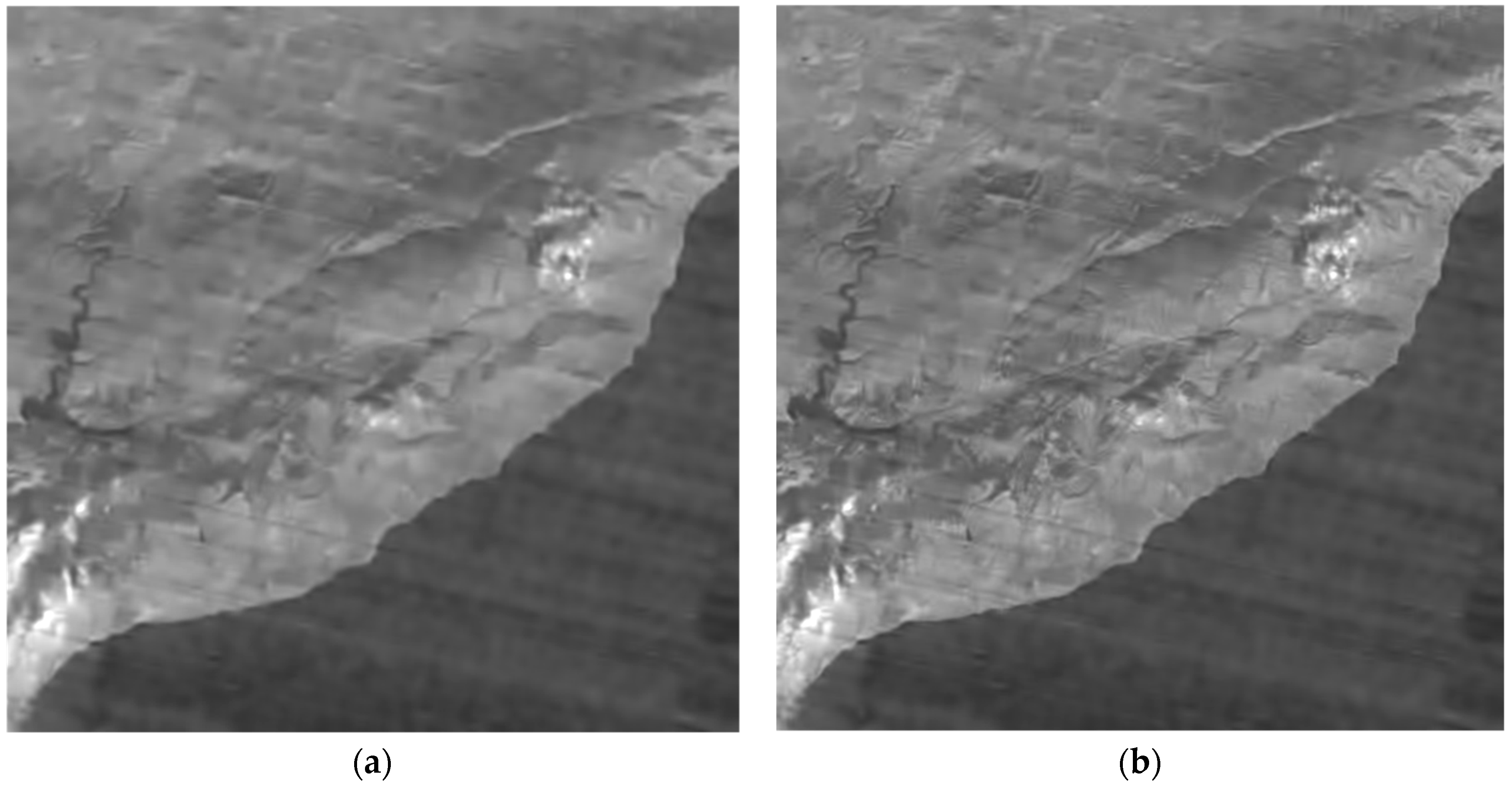 Remotesensing 11 00611 g010