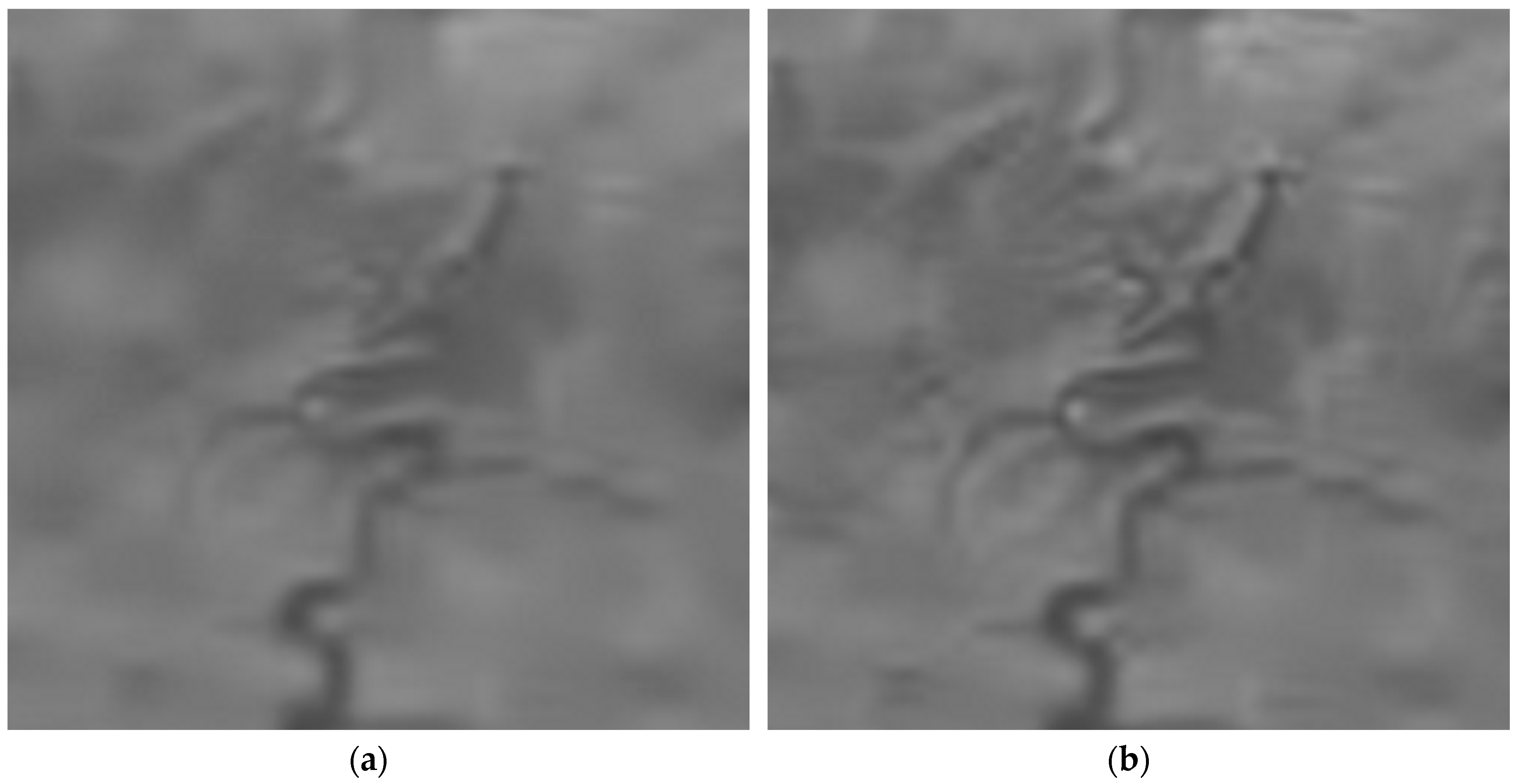 Remotesensing 11 00611 g011