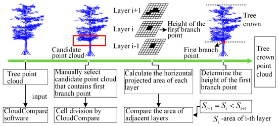 A Concave Hull Methodology for Calculating the Crown Volume of ...
