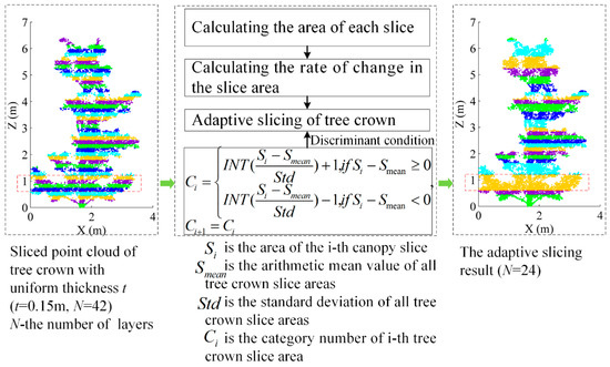 A Concave Hull Methodology for Calculating the Crown Volume of ...