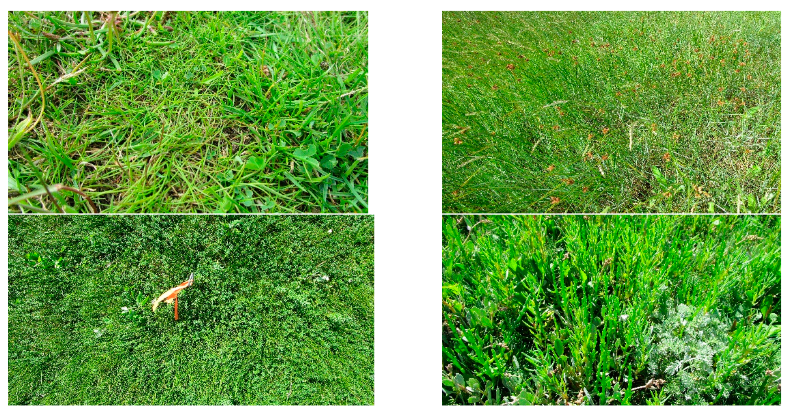 Remotesensing 11 00671 g002 Remotesensing 11 00671 g002