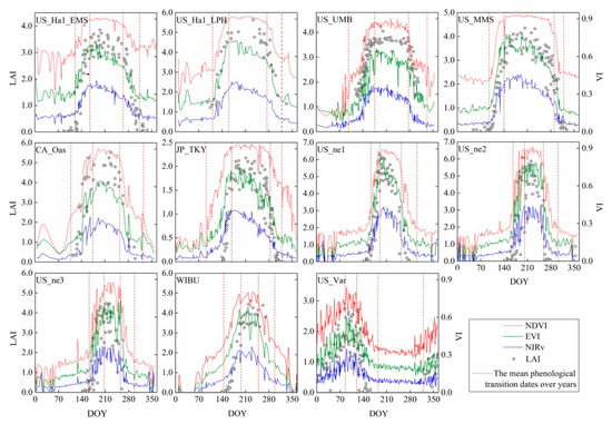 ミー Frontiers | The molecular mechanisms of CD8+ T cell
