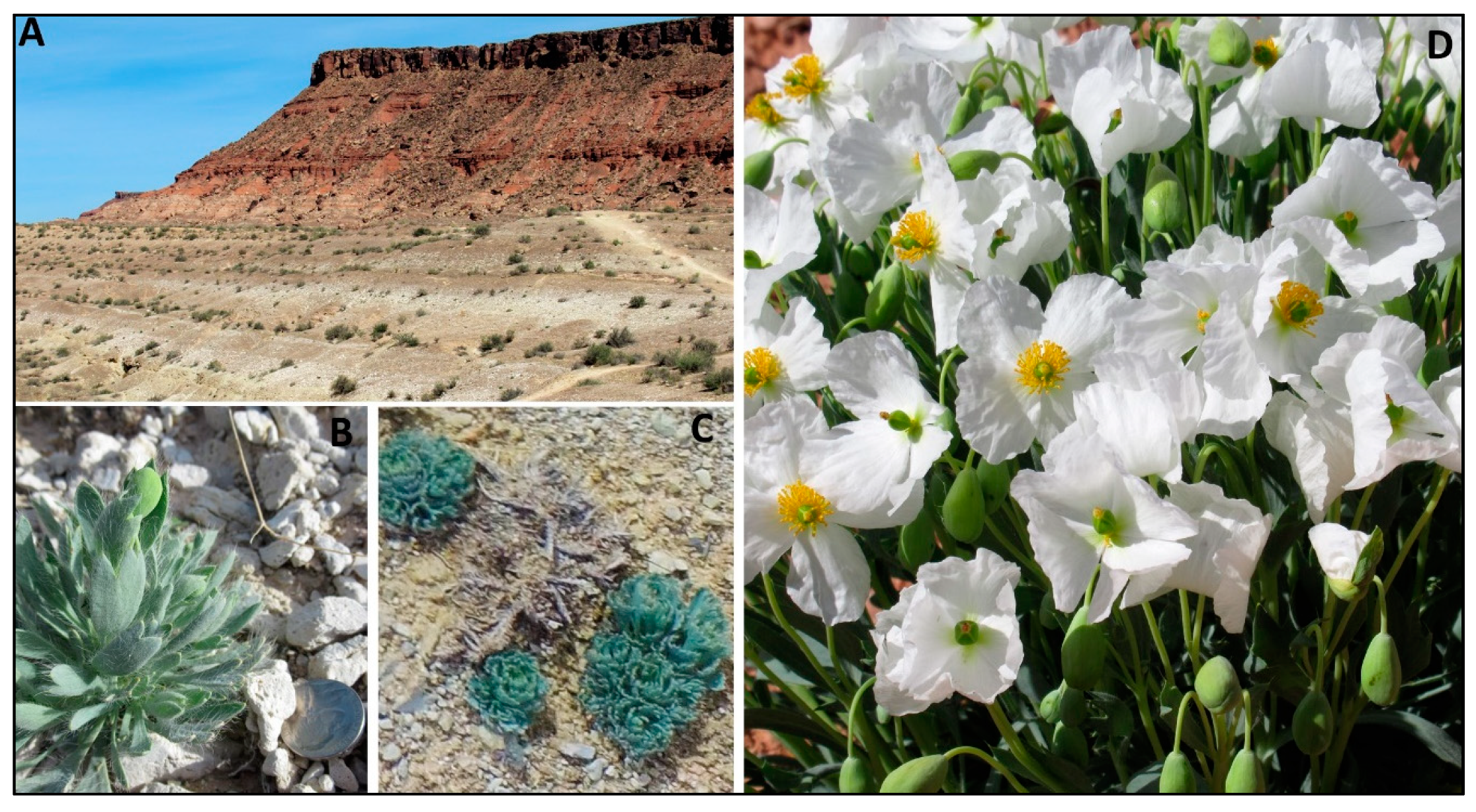 Remotesensing 11 00719 g002