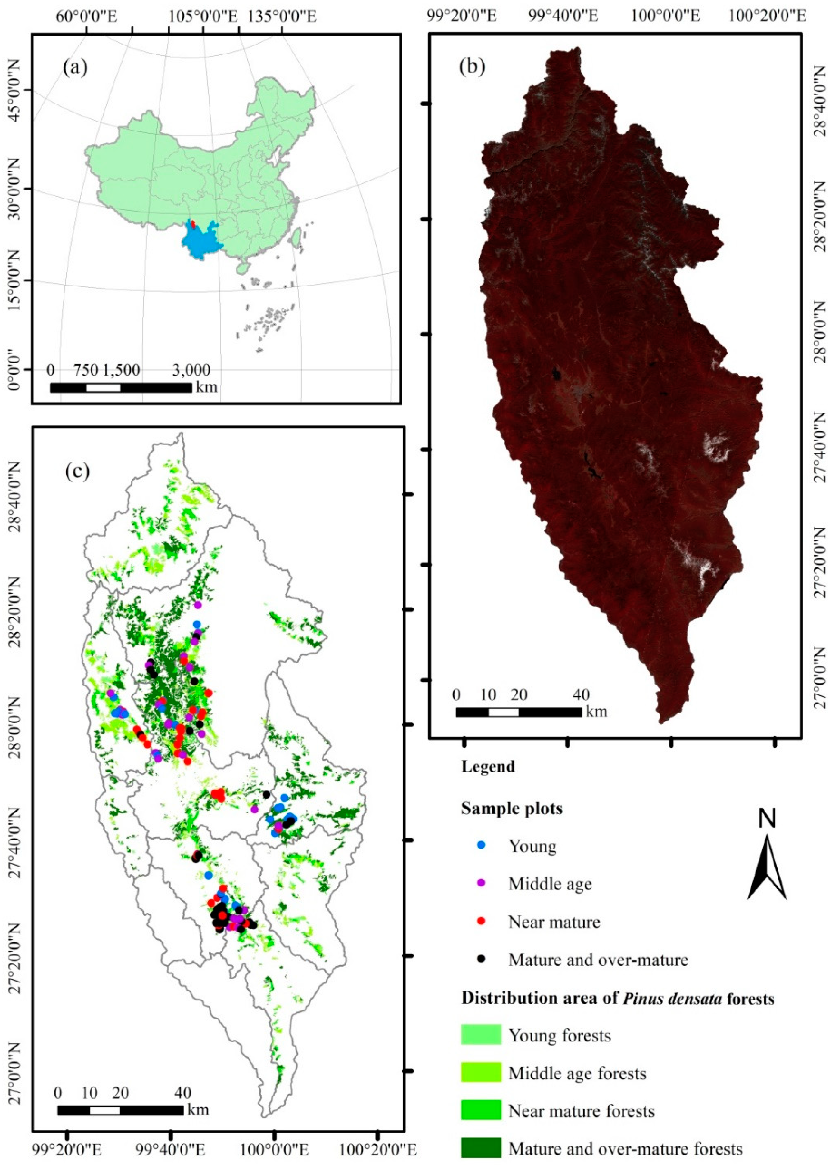 Remotesensing 11 00738 g002