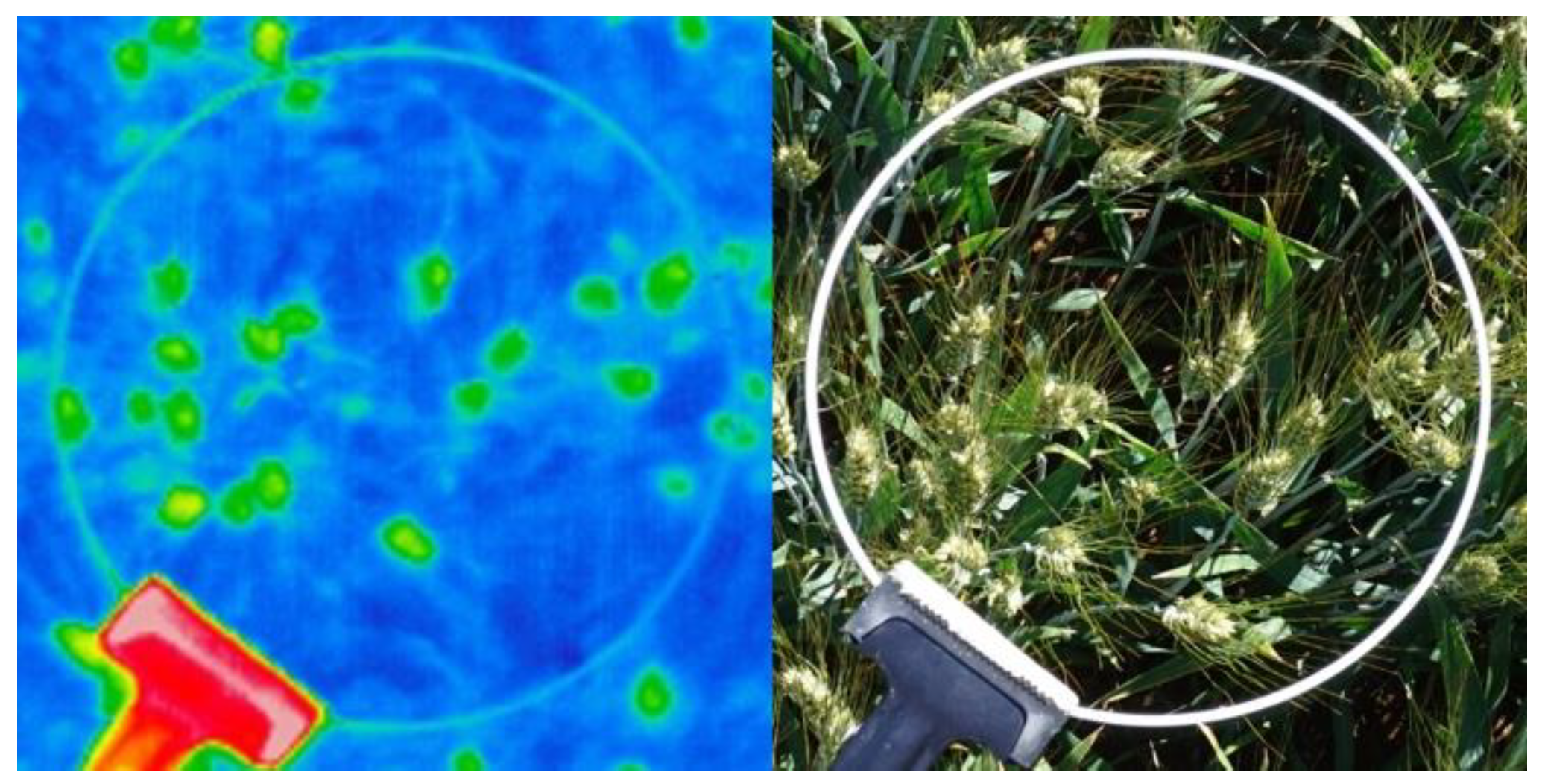 Remotesensing 11 00751 g003 Remotesensing 11 00751 g003