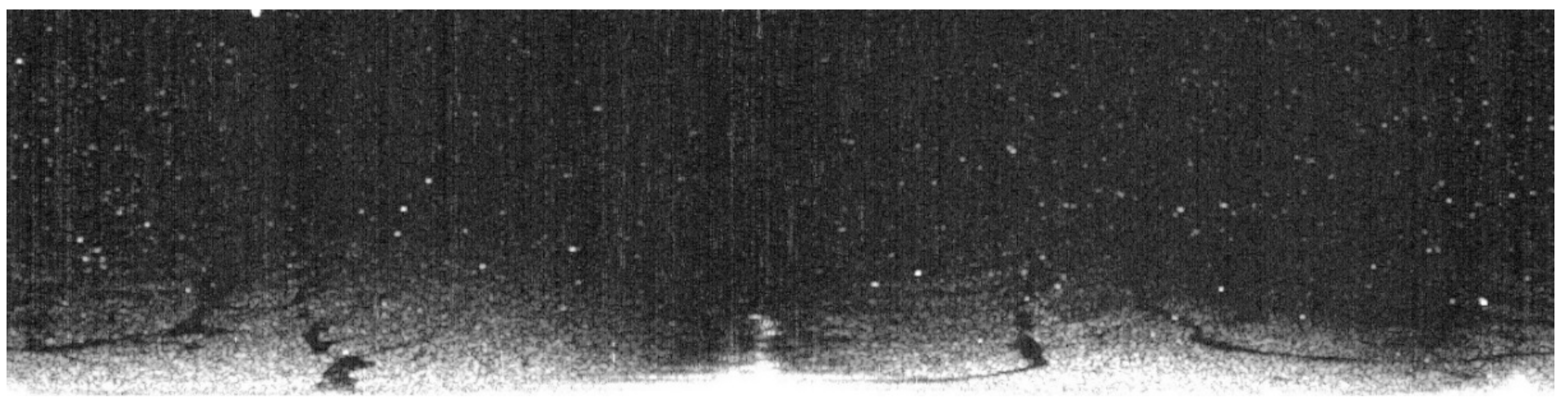 Remotesensing 11 00756 g004