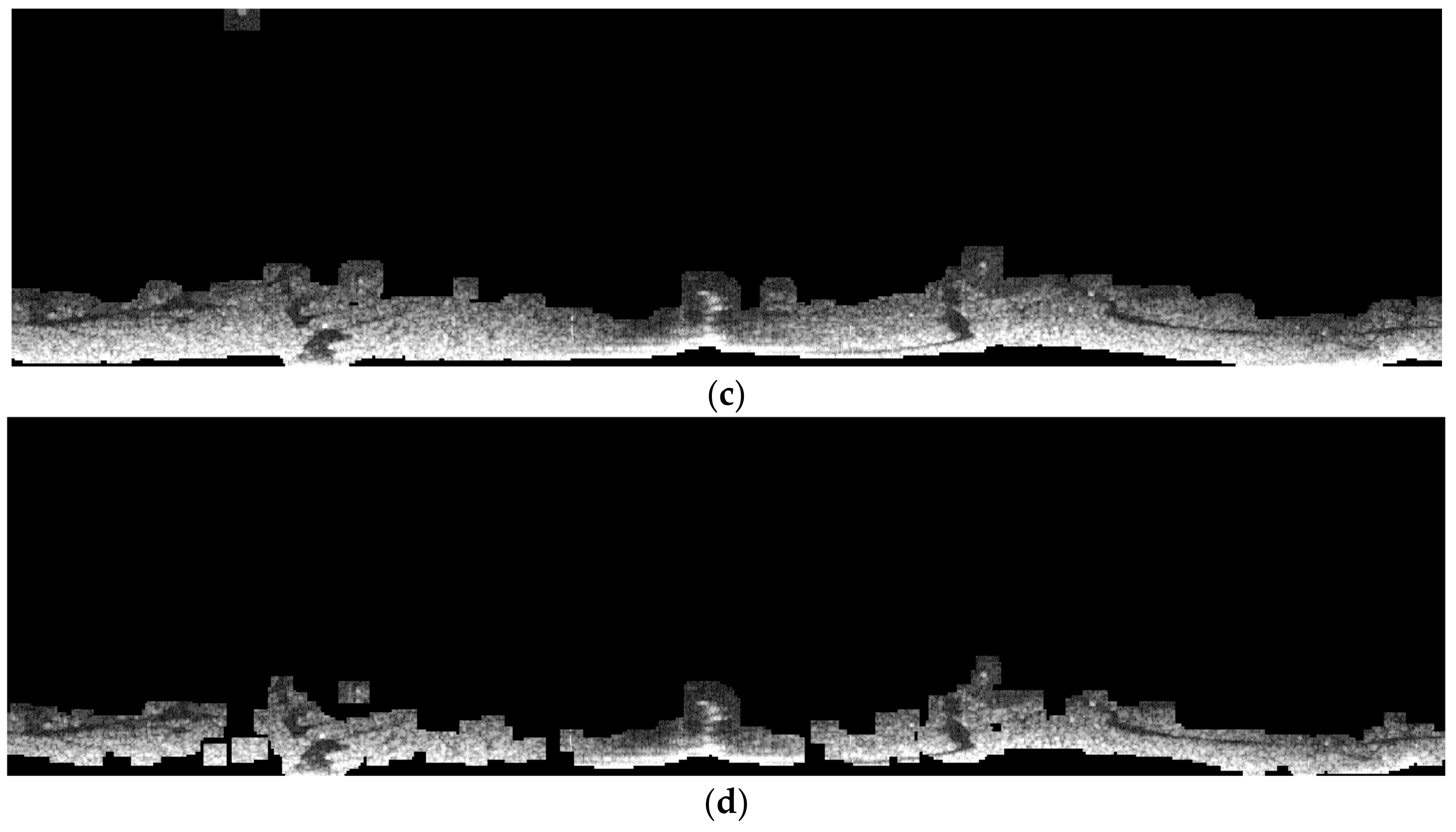 Remotesensing 11 00756 g011b