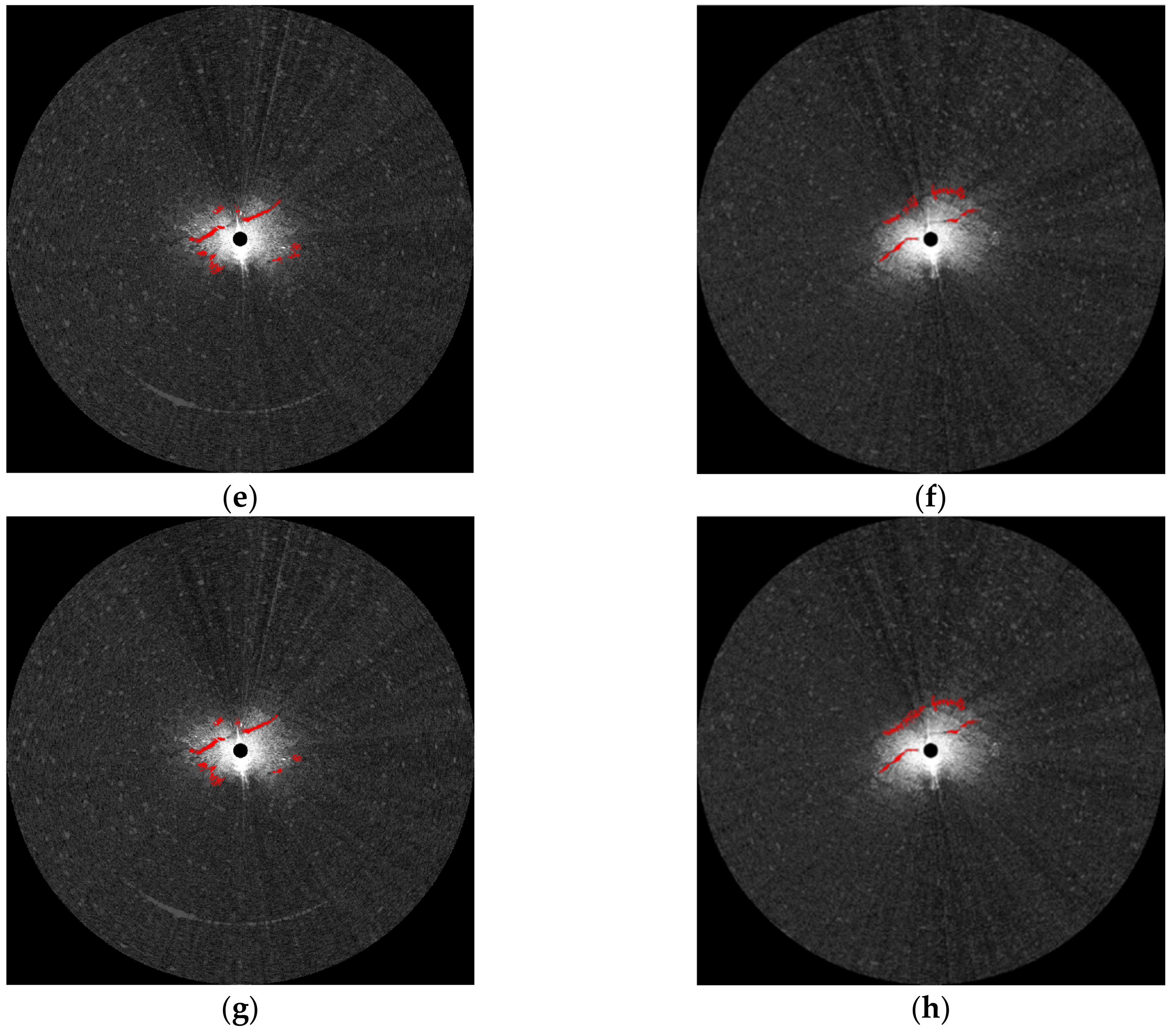 Remotesensing 11 00756 g019b