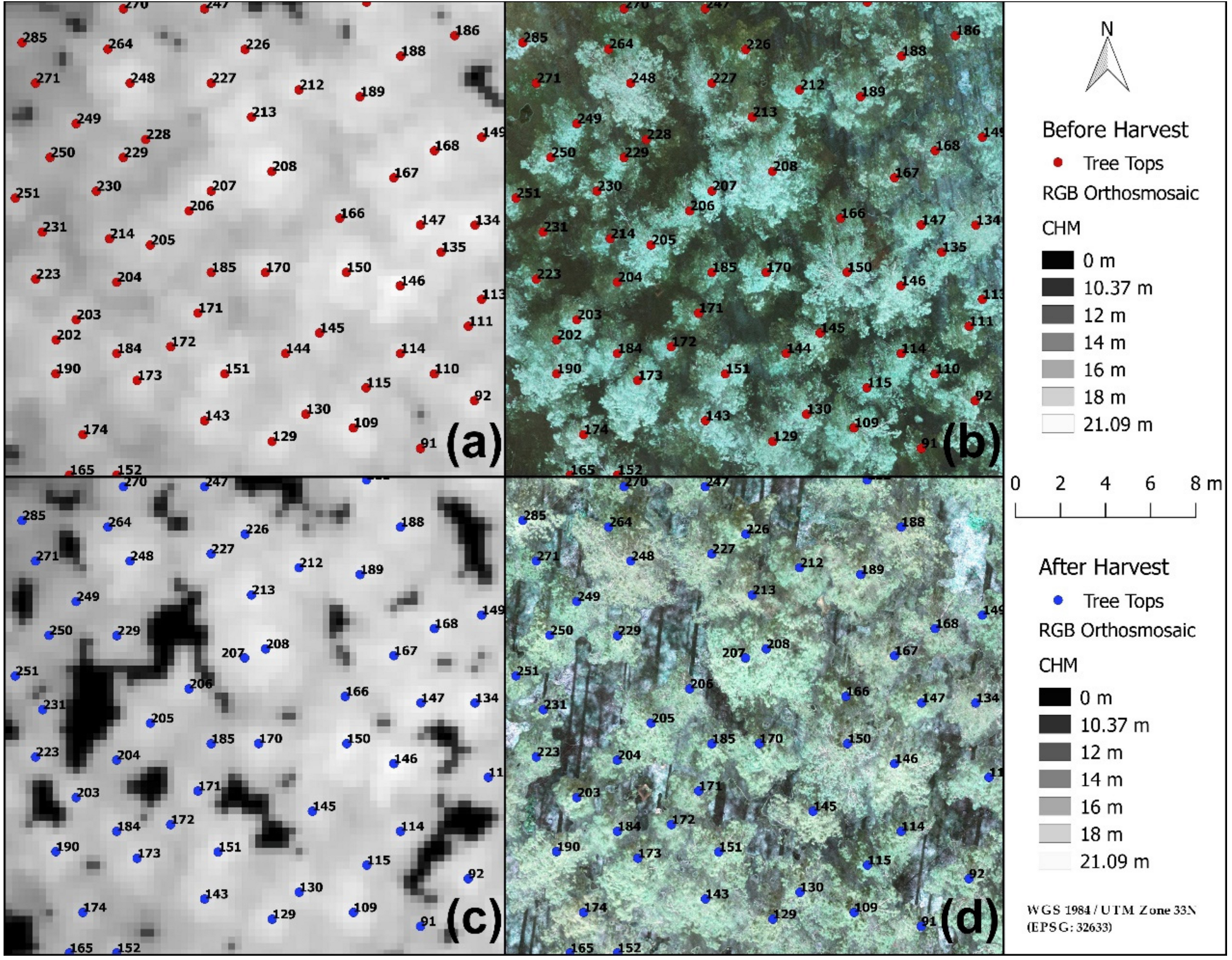 Remote Sensing Free Full Text Uav Based Photogrammetric Tree Height Measurement For Intensive Forest Monitoring Html