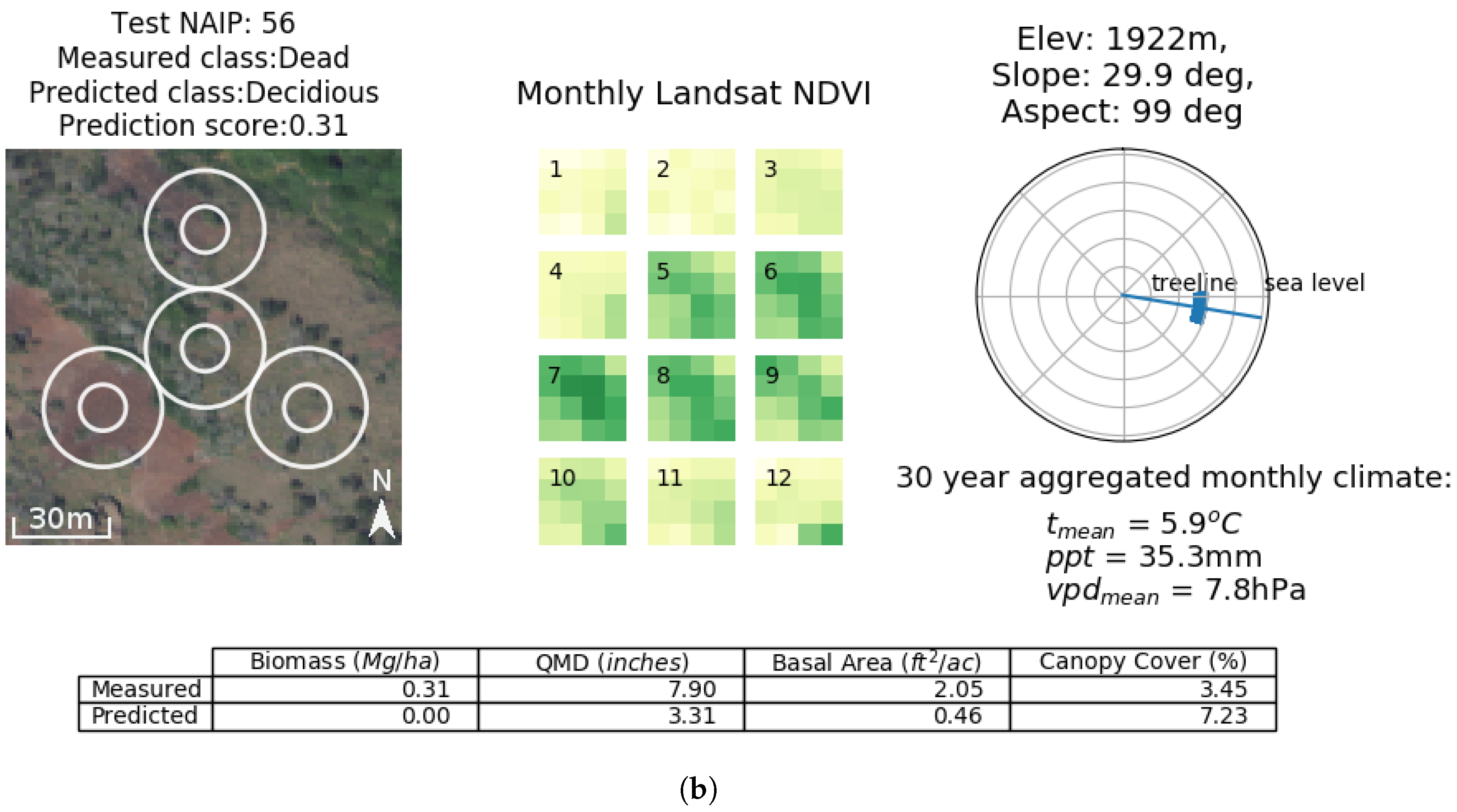 Remote Sensing Free Full Text Chimera A Multi Task Recurrent Convolutional Neural Network For Forest Classification And Structural Estimation Html