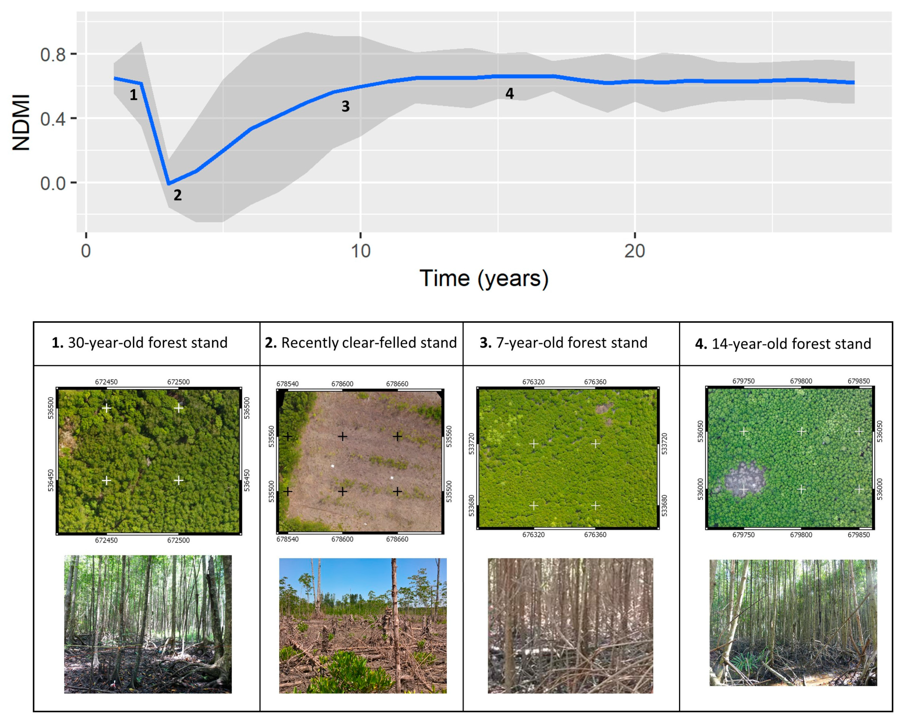 Remotesensing 11 00774 g005