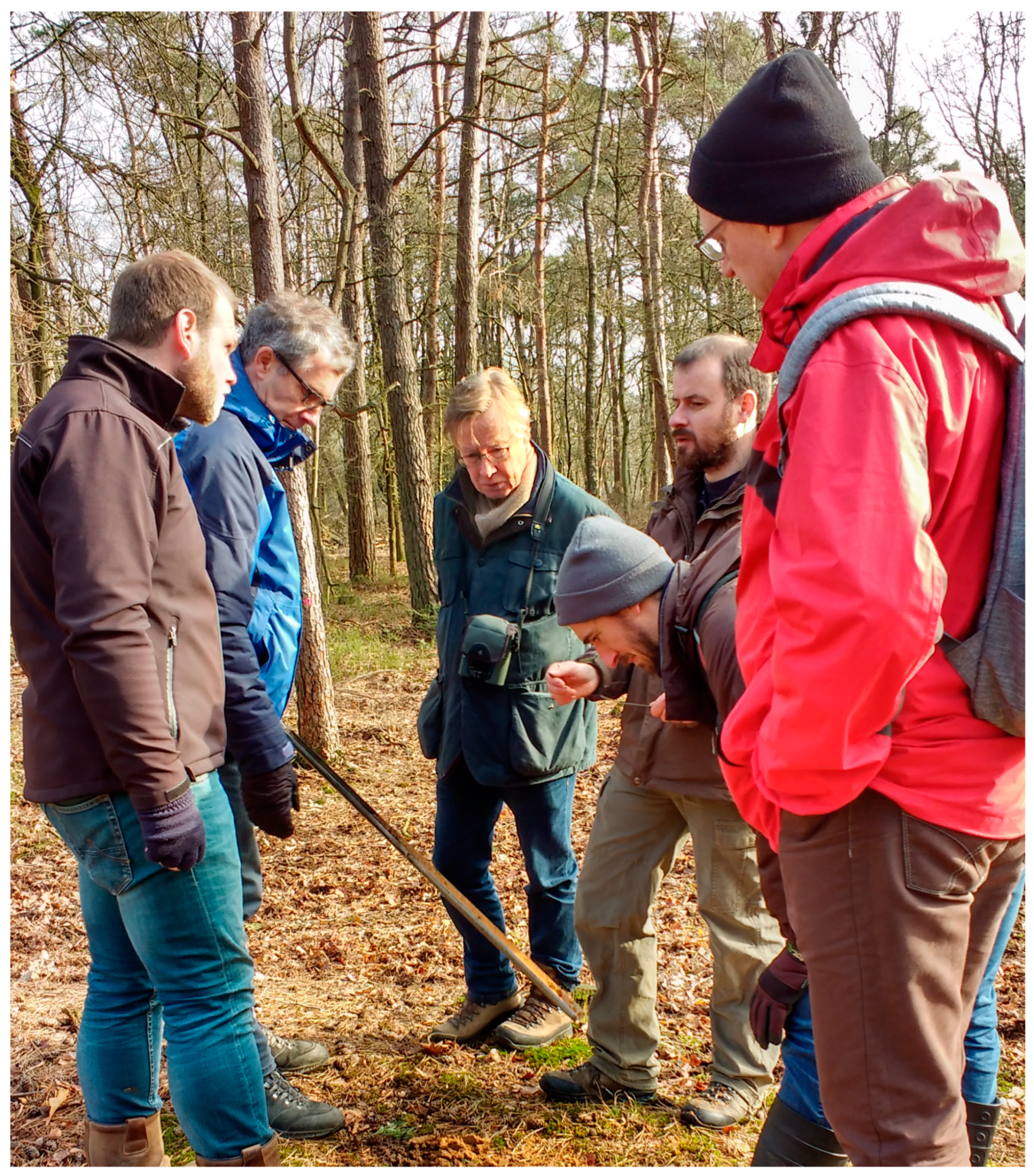 Remotesensing 11 00794 g008