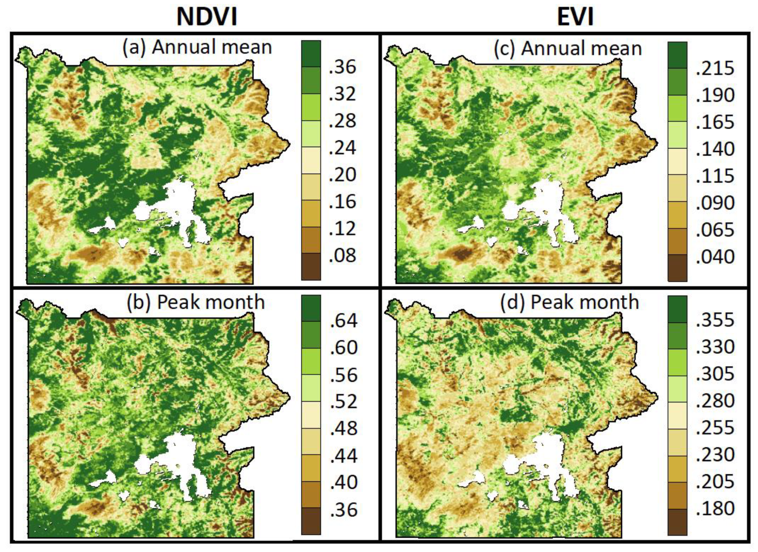 Карта с индексом ndvi