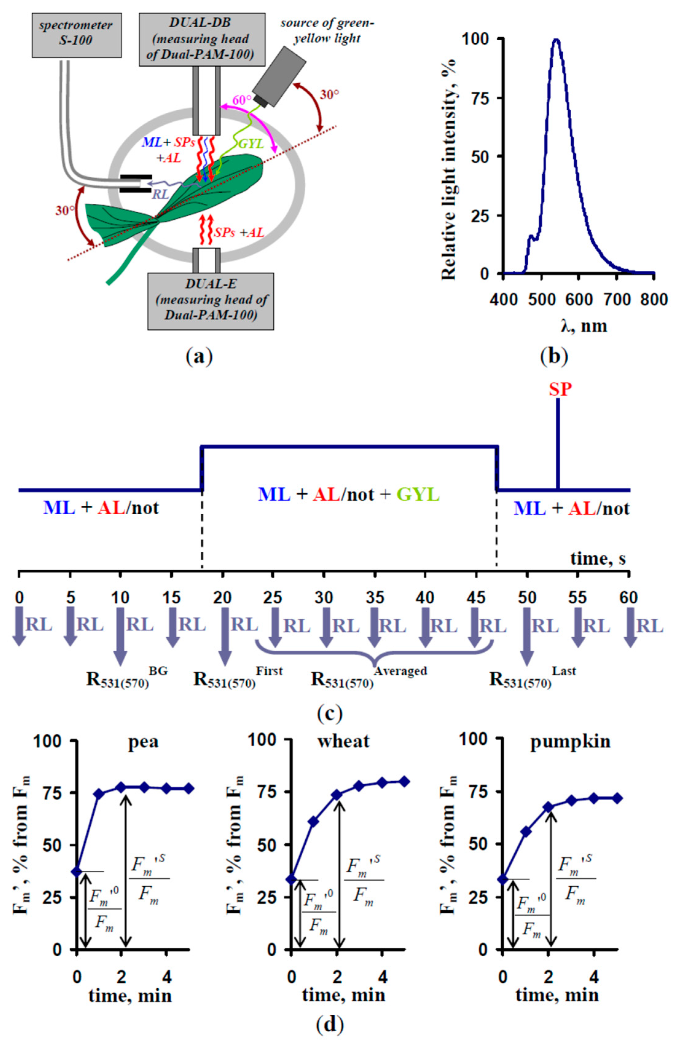 Remote Sensing Free Full Text Analysis Of Light Induced Changes In The Photochemical Reflectance Index Pri In Leaves Of Pea Wheat And Pumpkin Using Pulses Of Green Yellow Measuring Light Html Remote Sensing Free Full Text Analysis Of Light Induced Changes In The Photochemical Reflectance Index Pri In Leaves Of Pea Wheat And Pumpkin Using Pulses Of Green Yellow Measuring Light Html