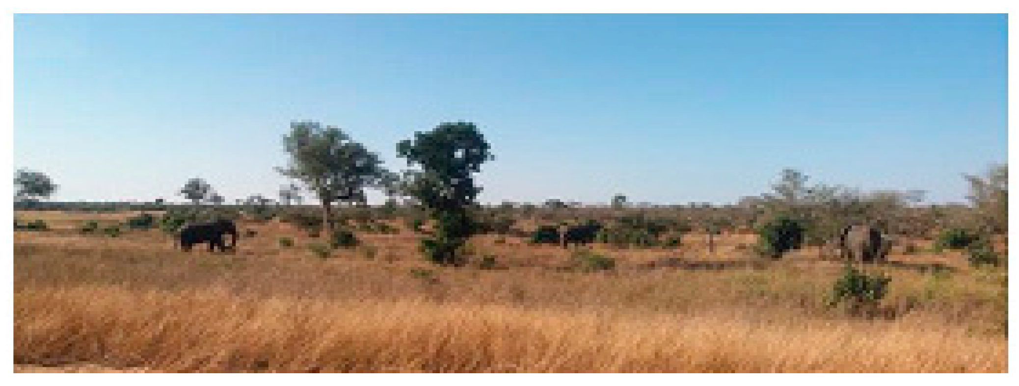 Remotesensing 11 00829 g002 Remotesensing 11 00829 g002