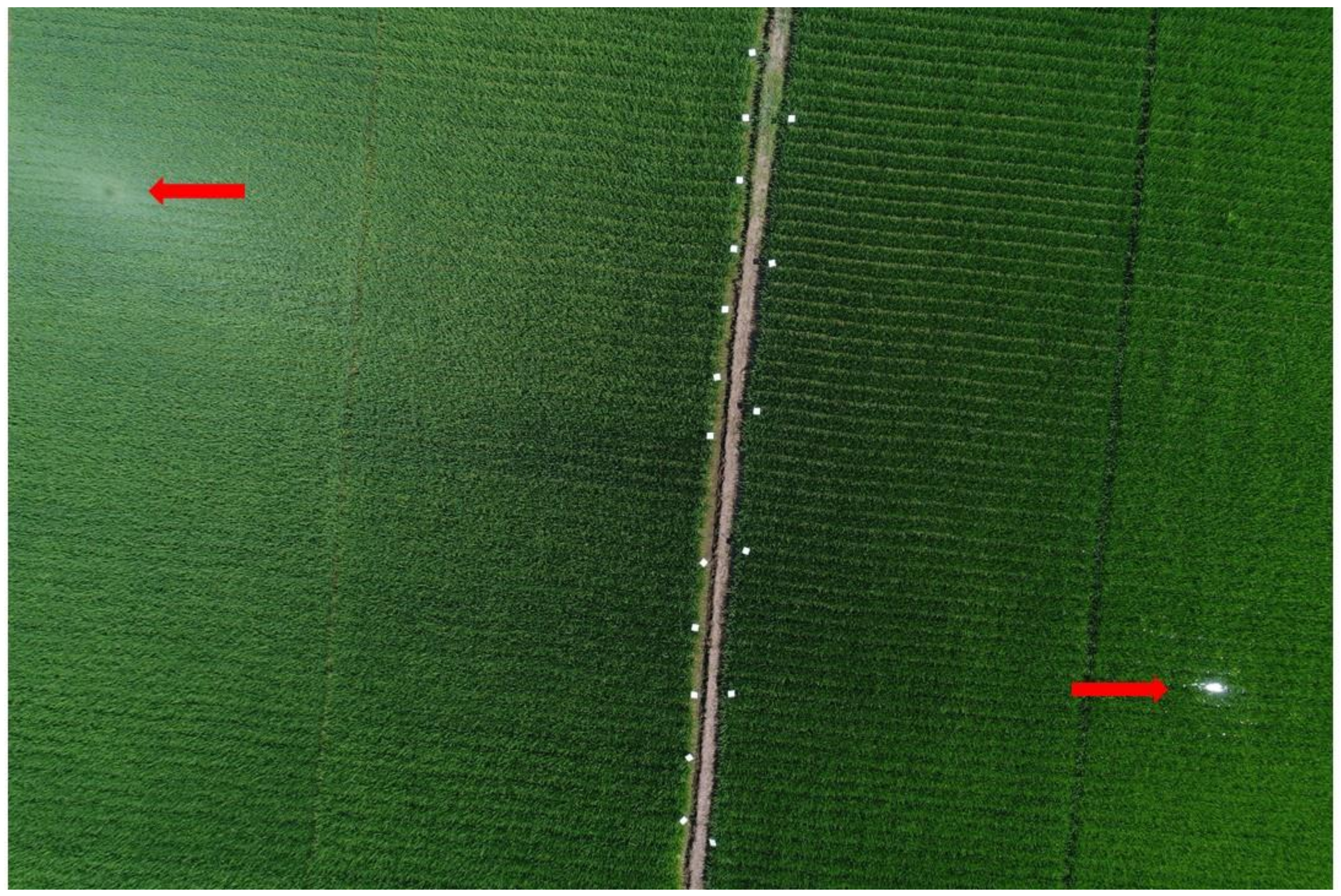 Remotesensing 11 00890 g002