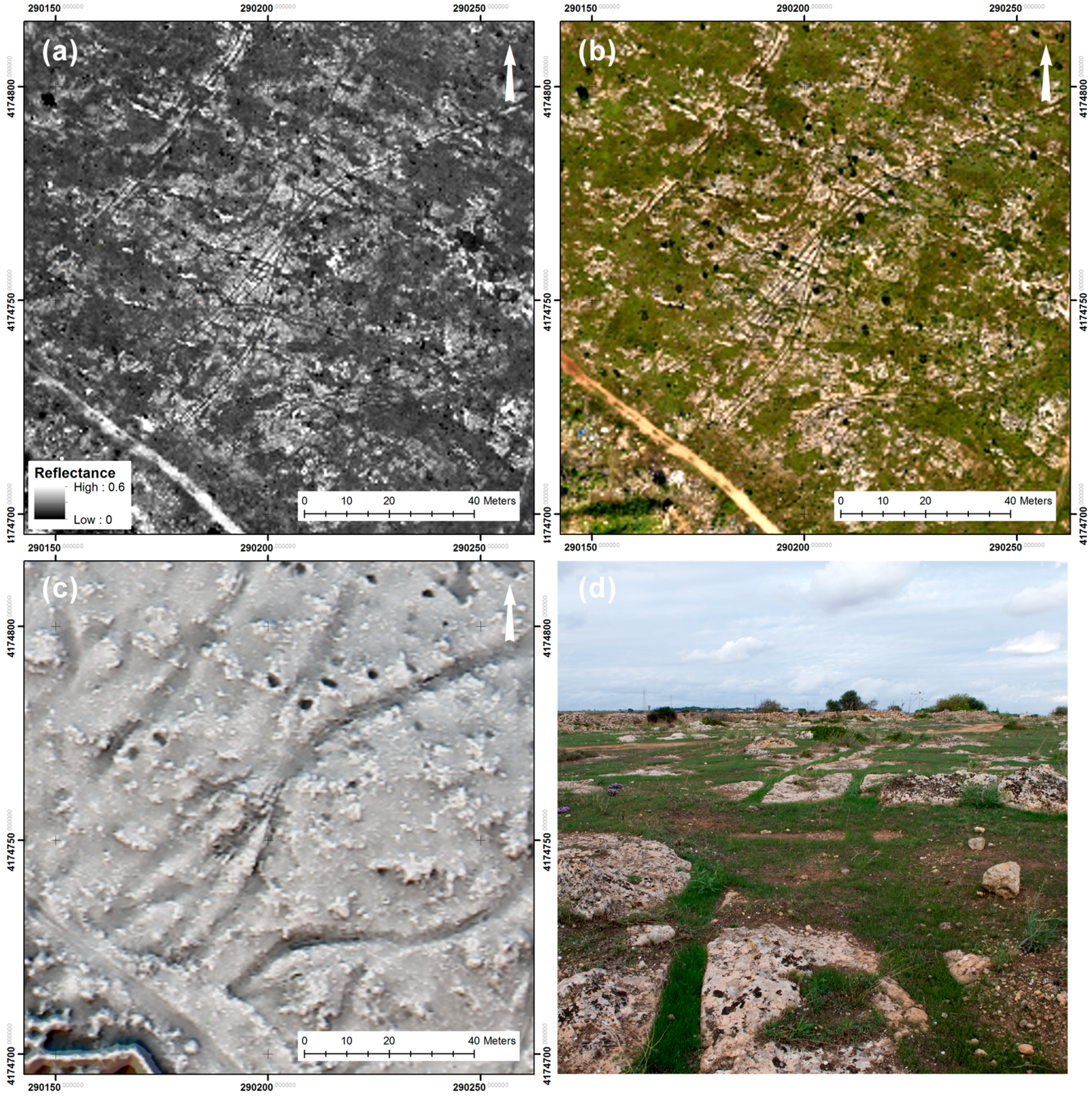 Remotesensing 11 00945 g011