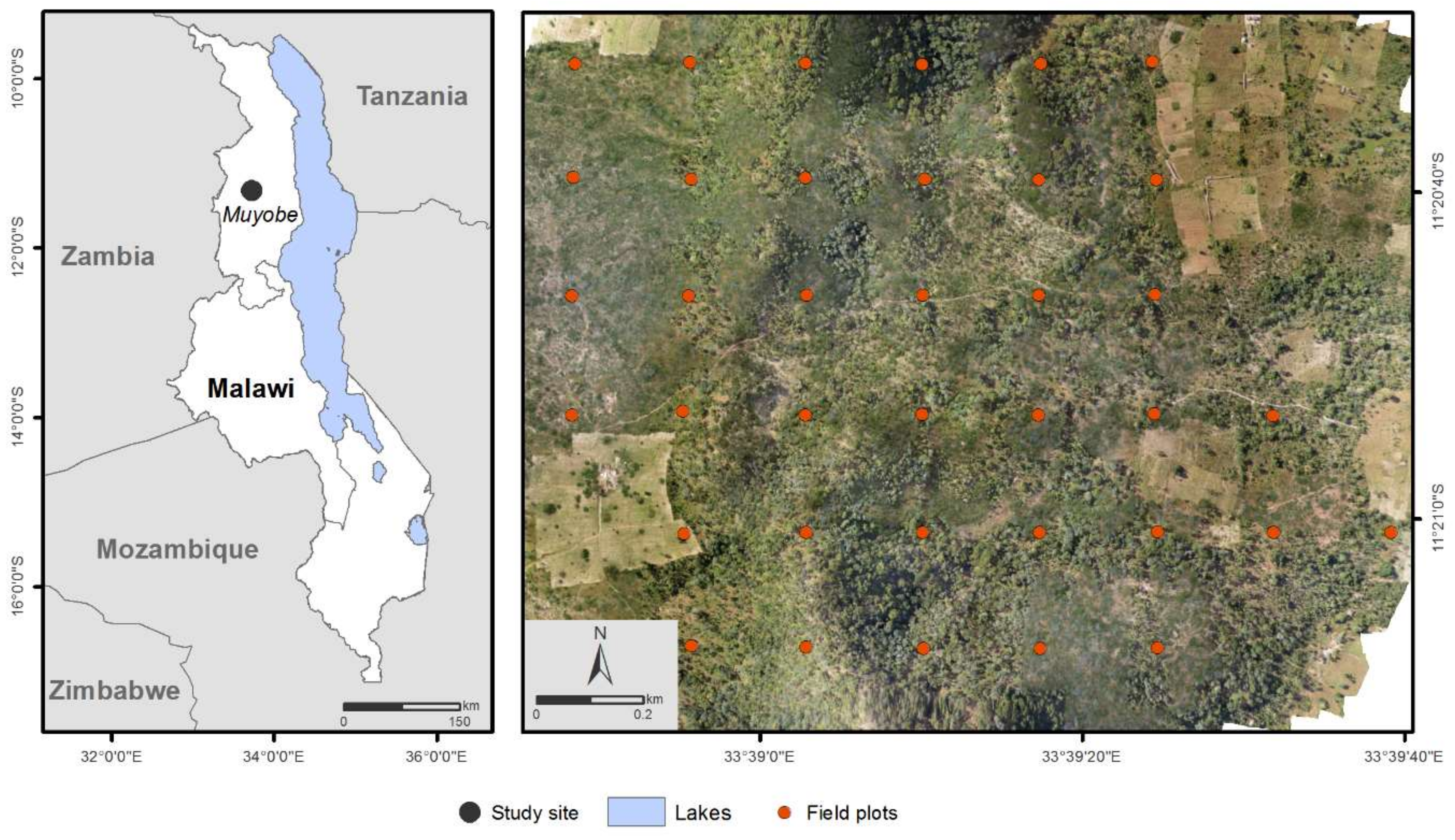 Remotesensing 11 00948 g001