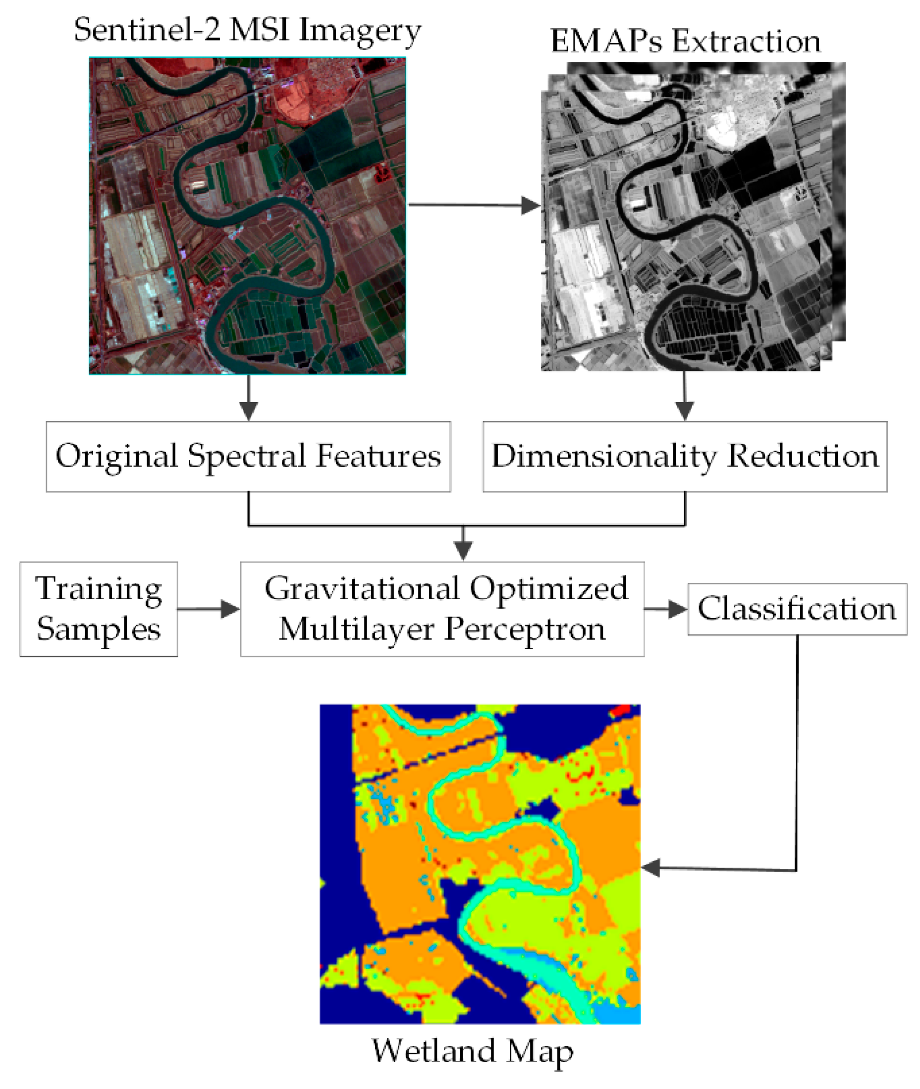 Wetland Mapping Using Remote Sensing Remote Sensing | Free Full-Text | Coastal Wetland Mapping With Sentinel-2  Msi Imagery Based On Gravitational Optimized Multilayer Perceptron And  Morphological Attribute Profiles | Html