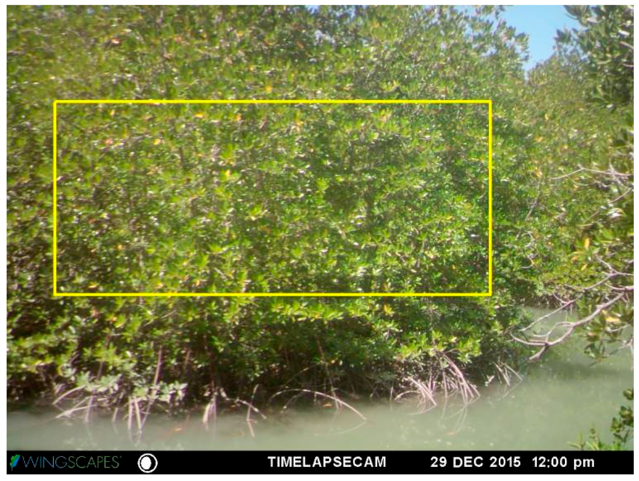 Remotesensing 11 00955 g002 Remotesensing 11 00955 g002