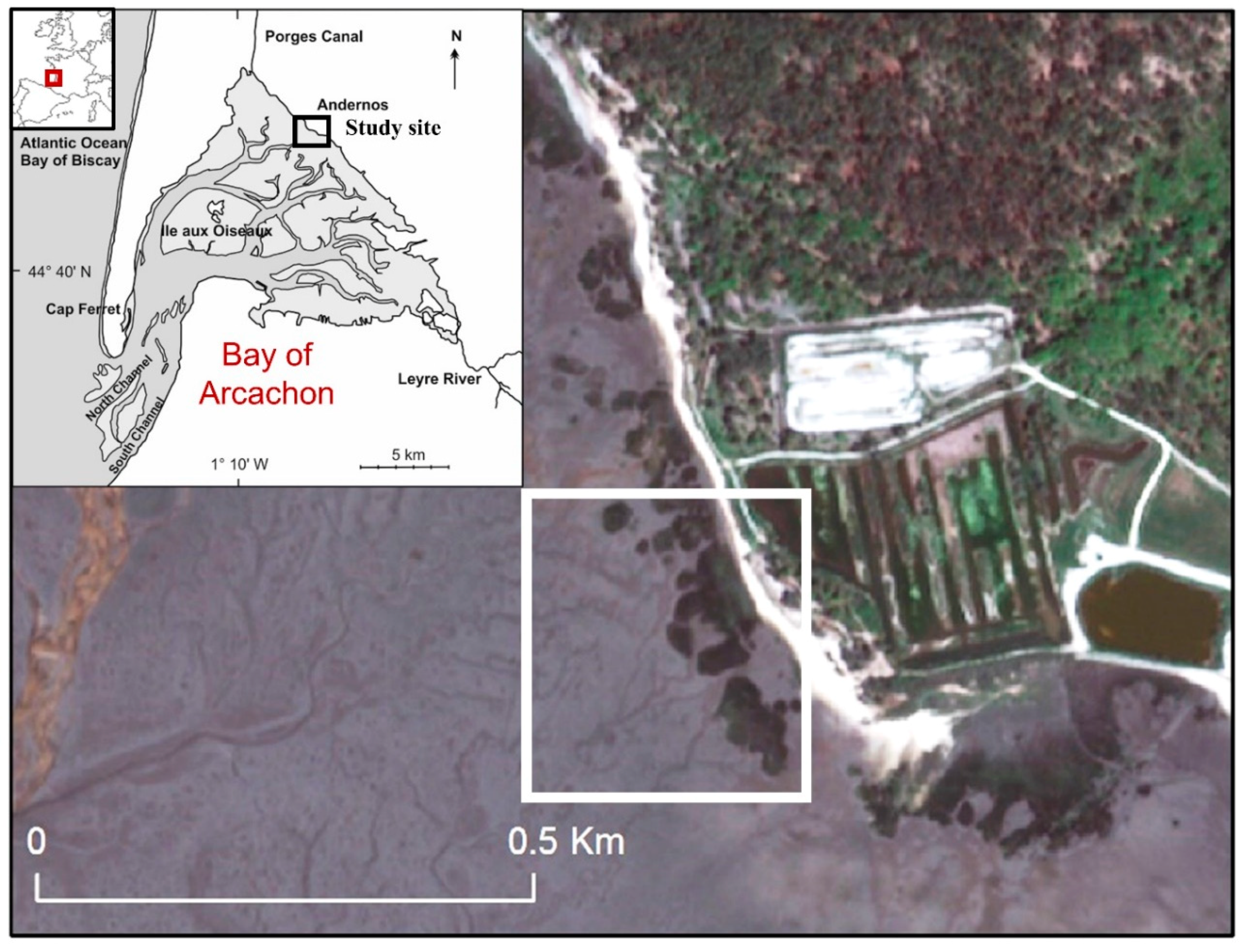 Remotesensing 11 00968 g001