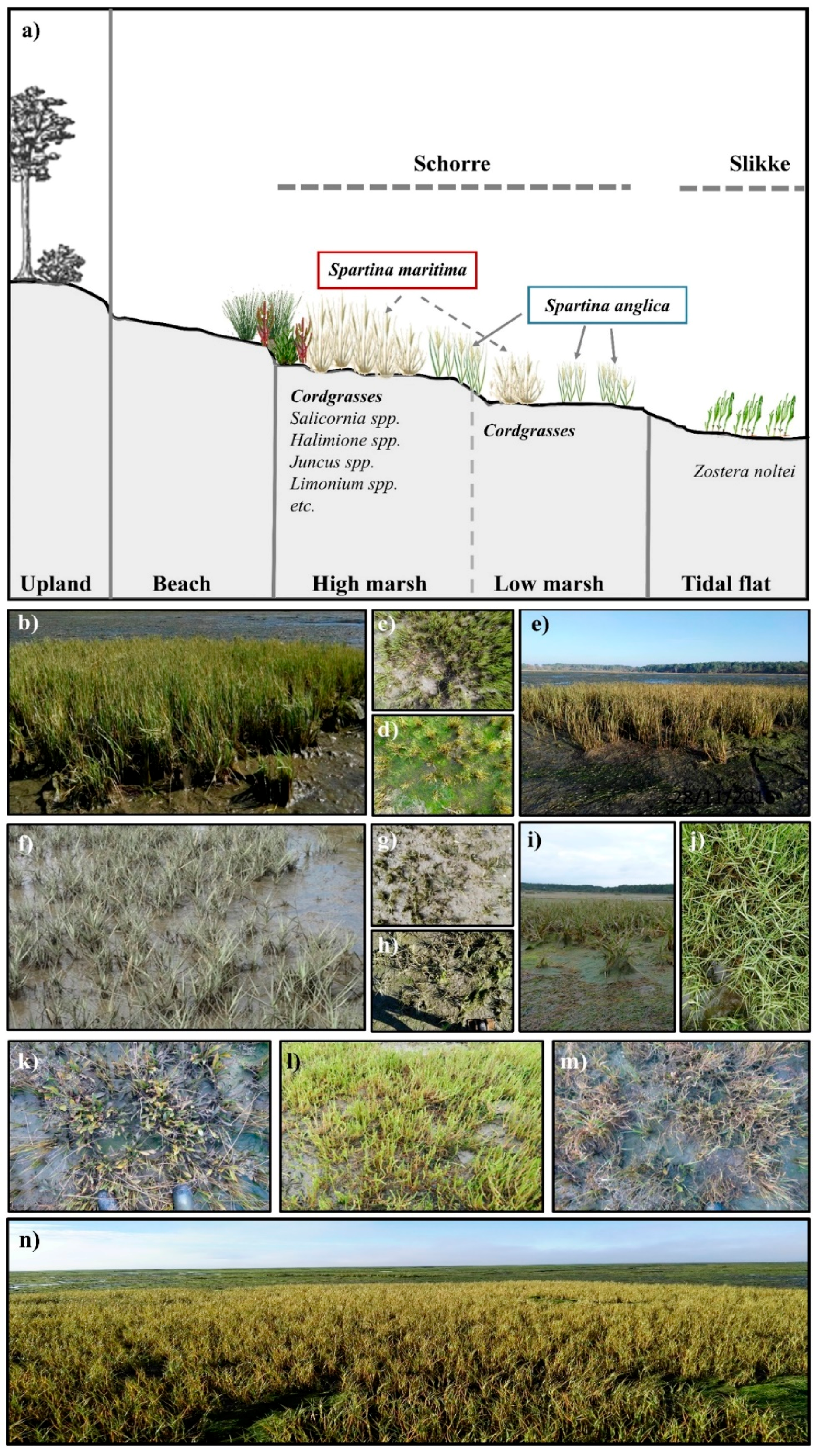 Remotesensing 11 00968 g002