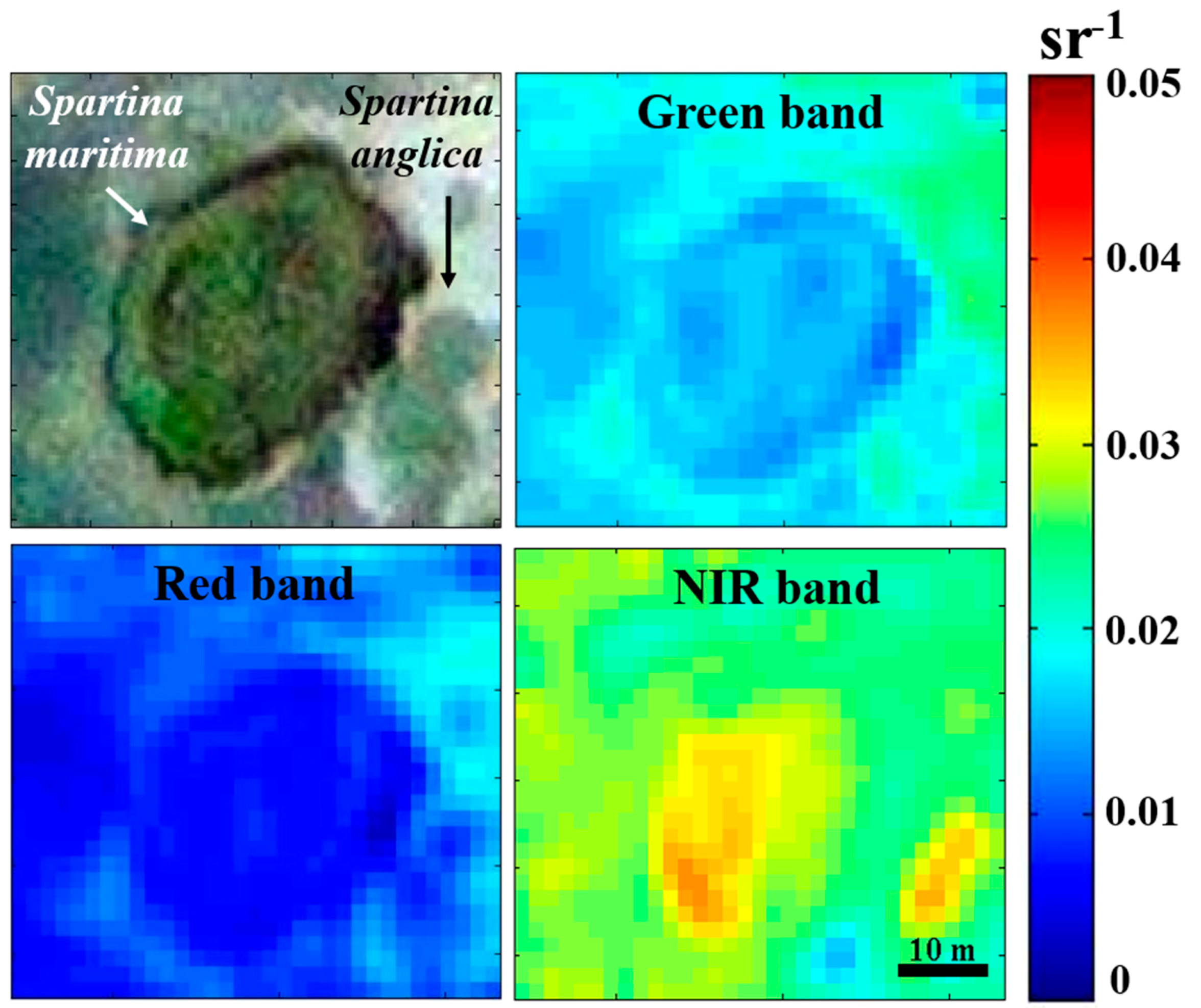 Remotesensing 11 00968 g005