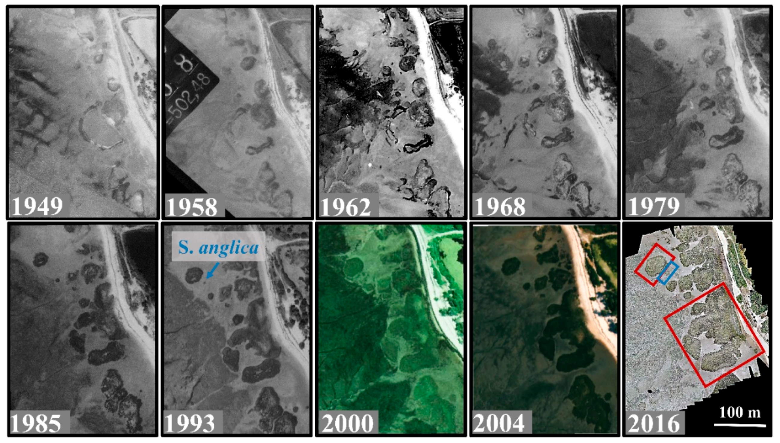 Remotesensing 11 00968 g007