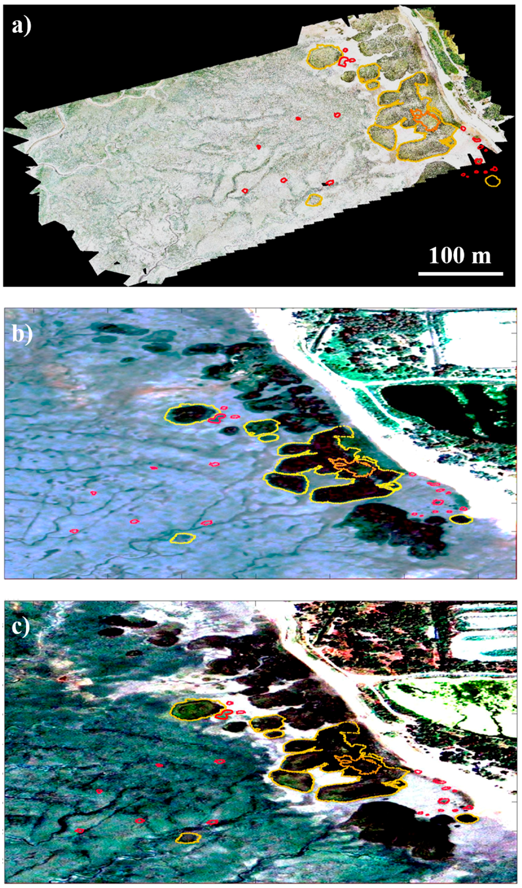 Remotesensing 11 00968 g008