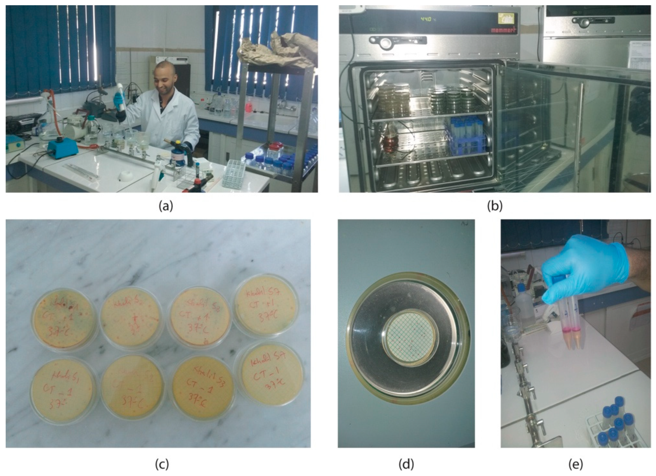 Remotesensing 11 00972 g003 Remotesensing 11 00972 g003