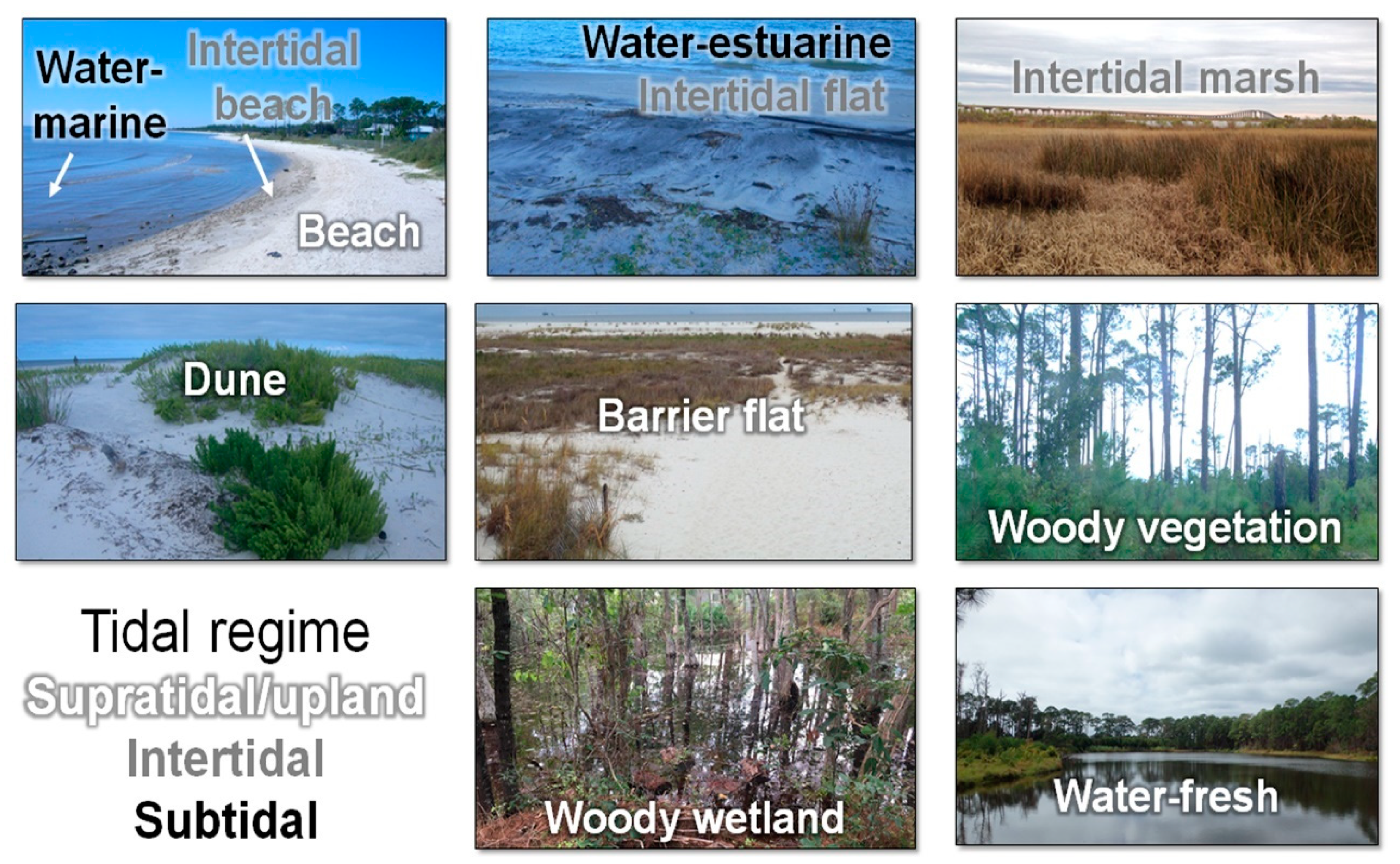 Remotesensing 11 00976 g003 Remotesensing 11 00976 g003