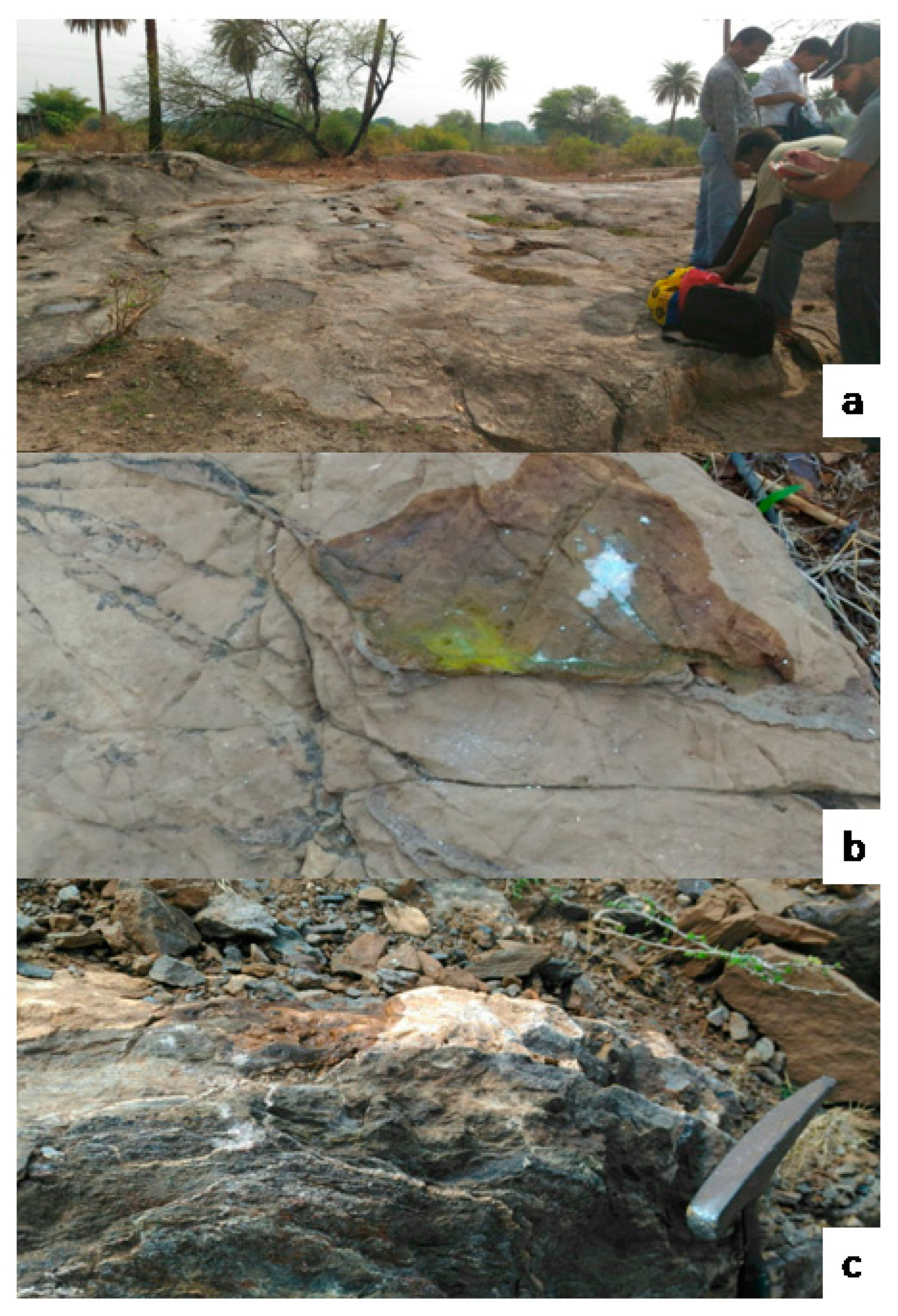 Remotesensing 11 01003 g003